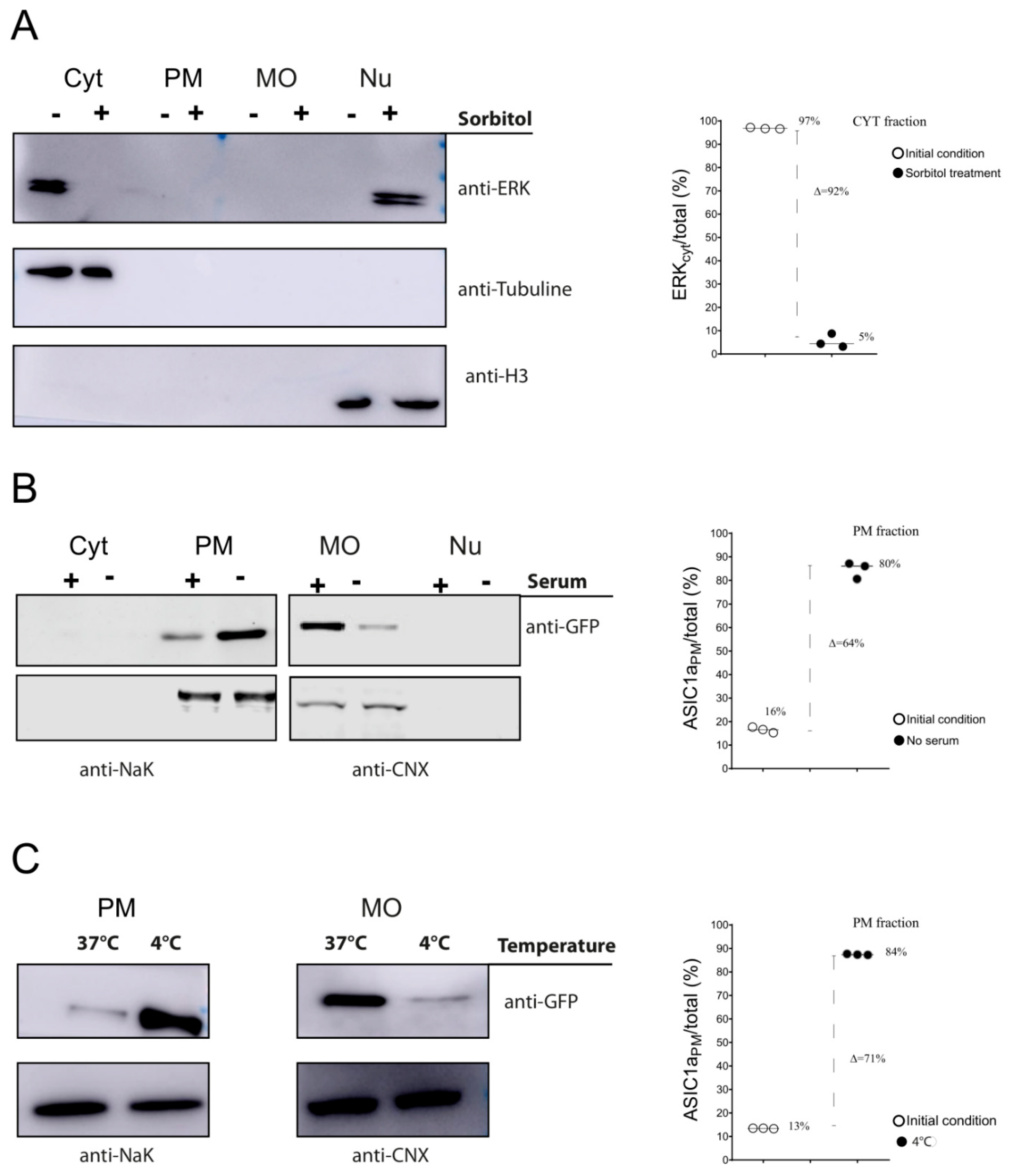 Membranes 12 00389 g004