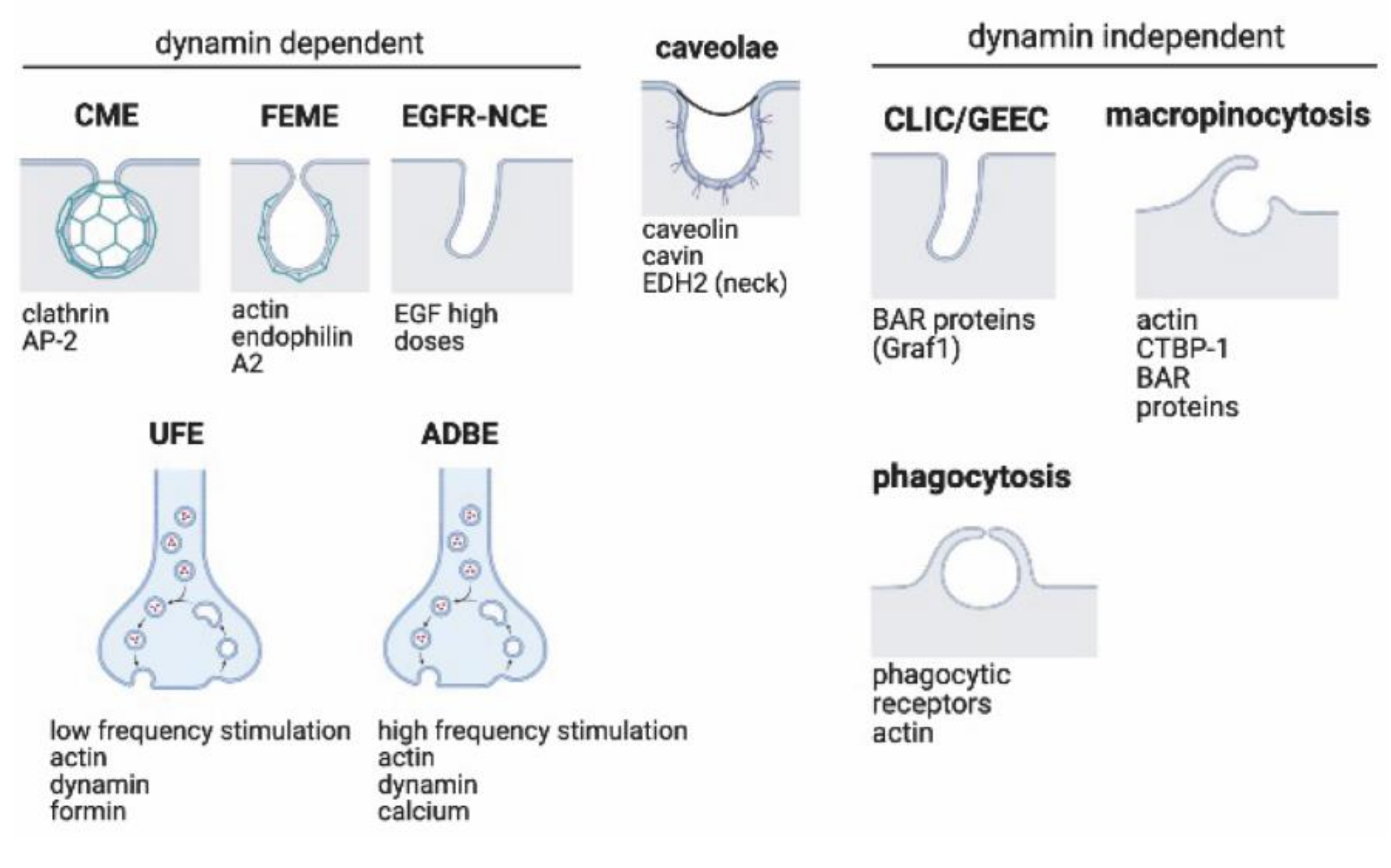 Membranes 12 00393 g001 Membranes 12 00393 g001