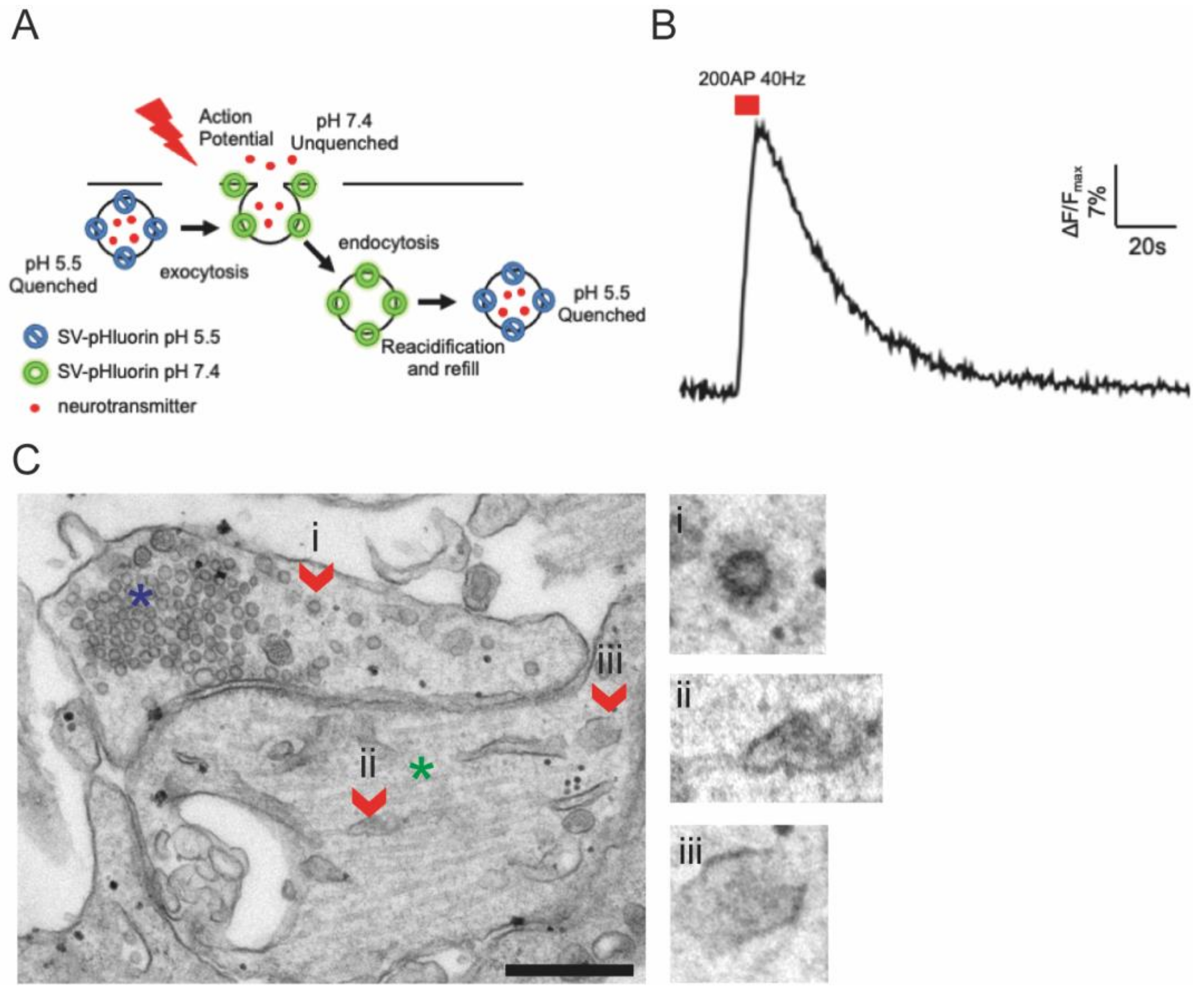 Membranes 12 00393 g005 Membranes 12 00393 g005