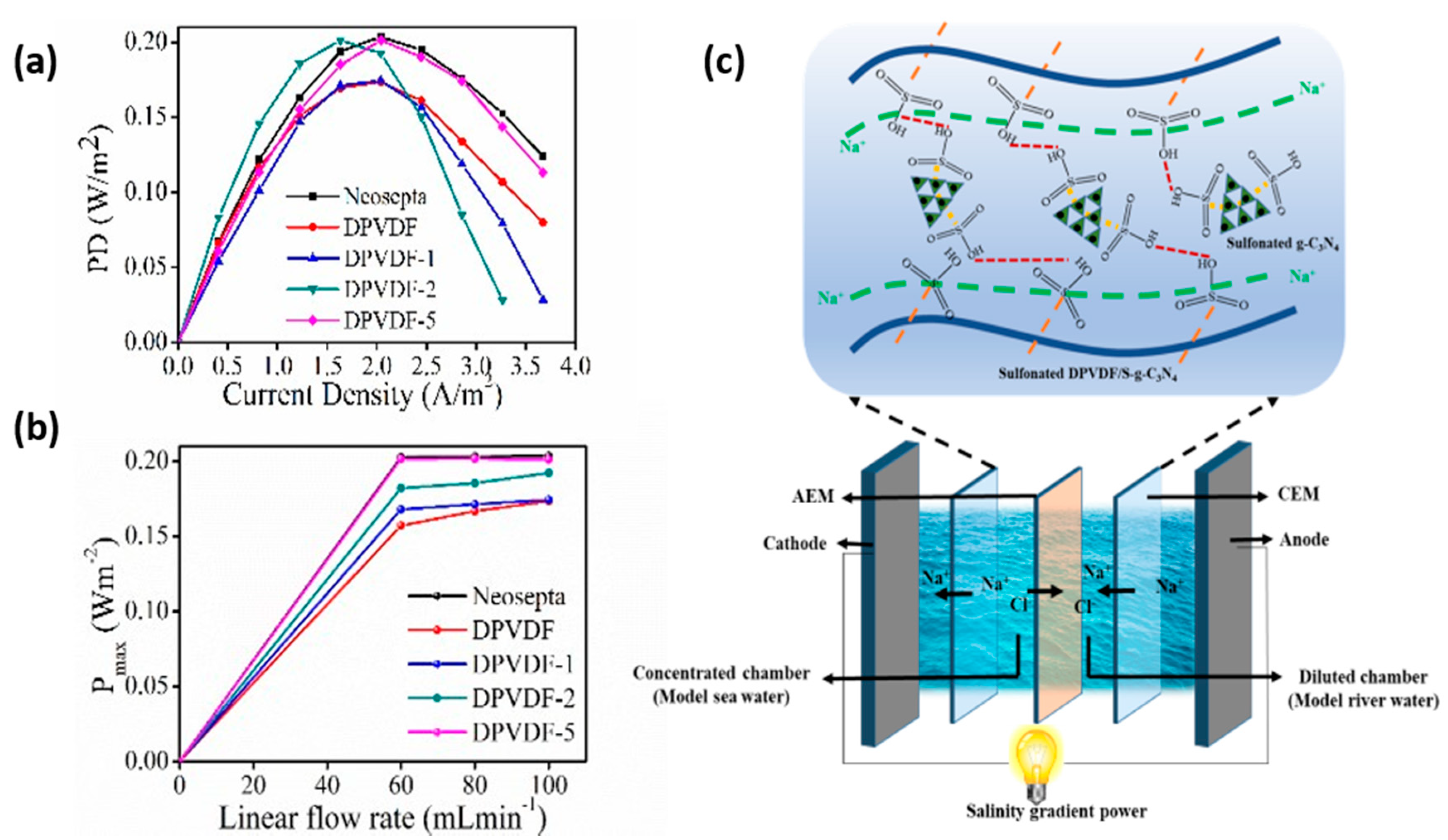Membranes 12 00395 g006