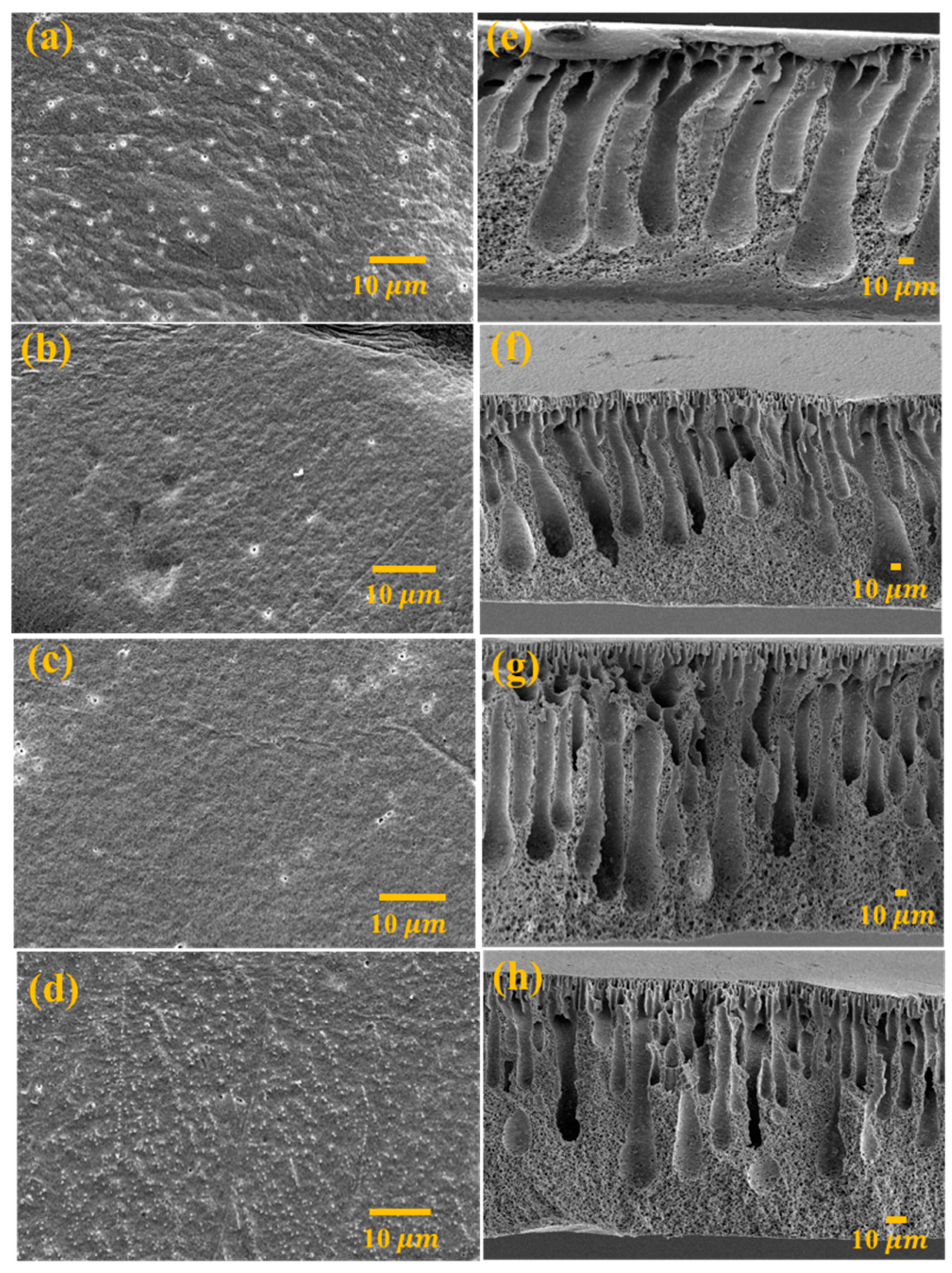 Membranes 12 00406 g002