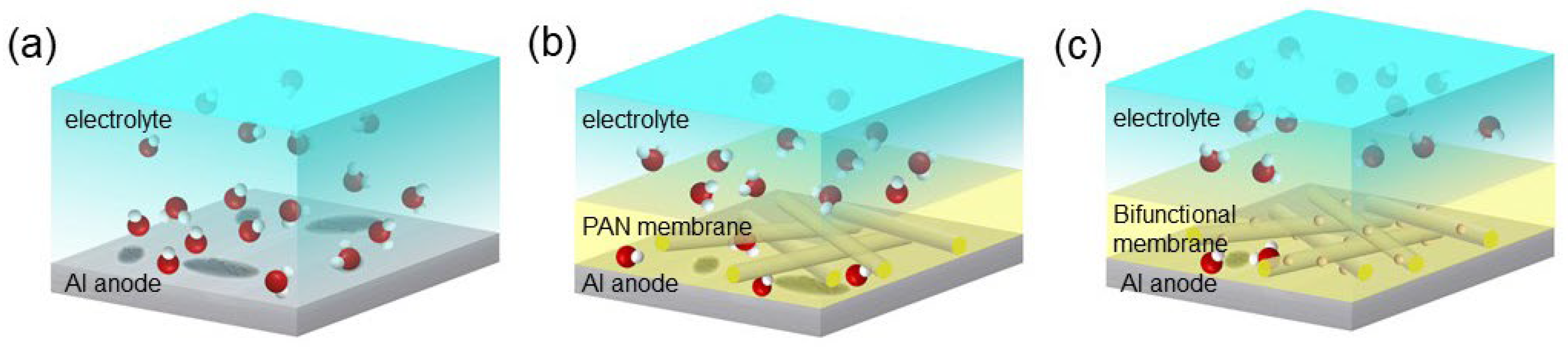 Membranes 12 00407 g008