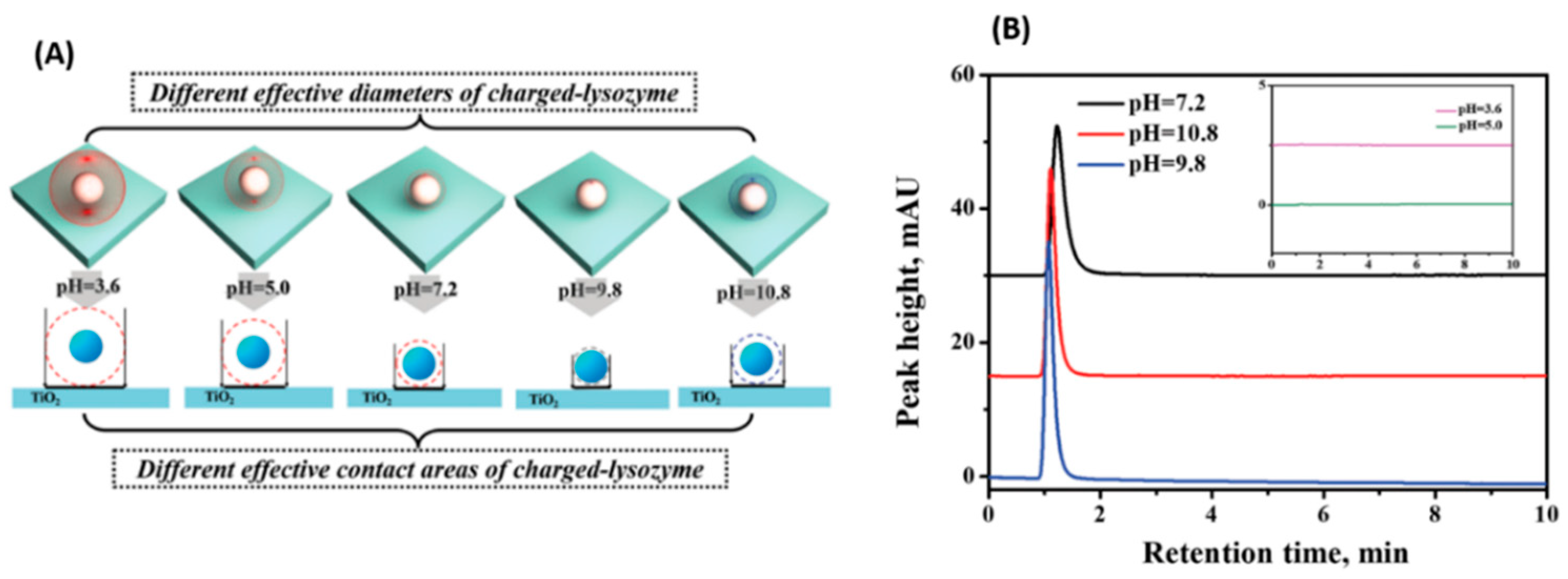 Membranes 12 00415 g002