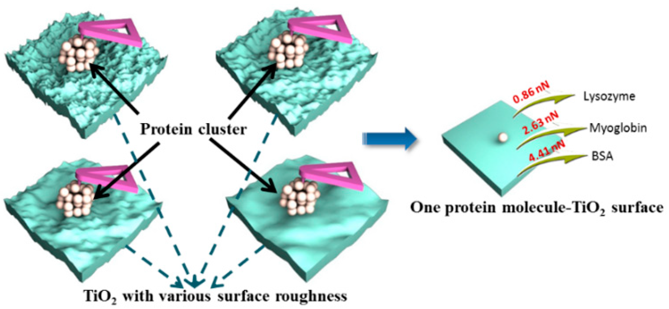 Membranes 12 00415 g004