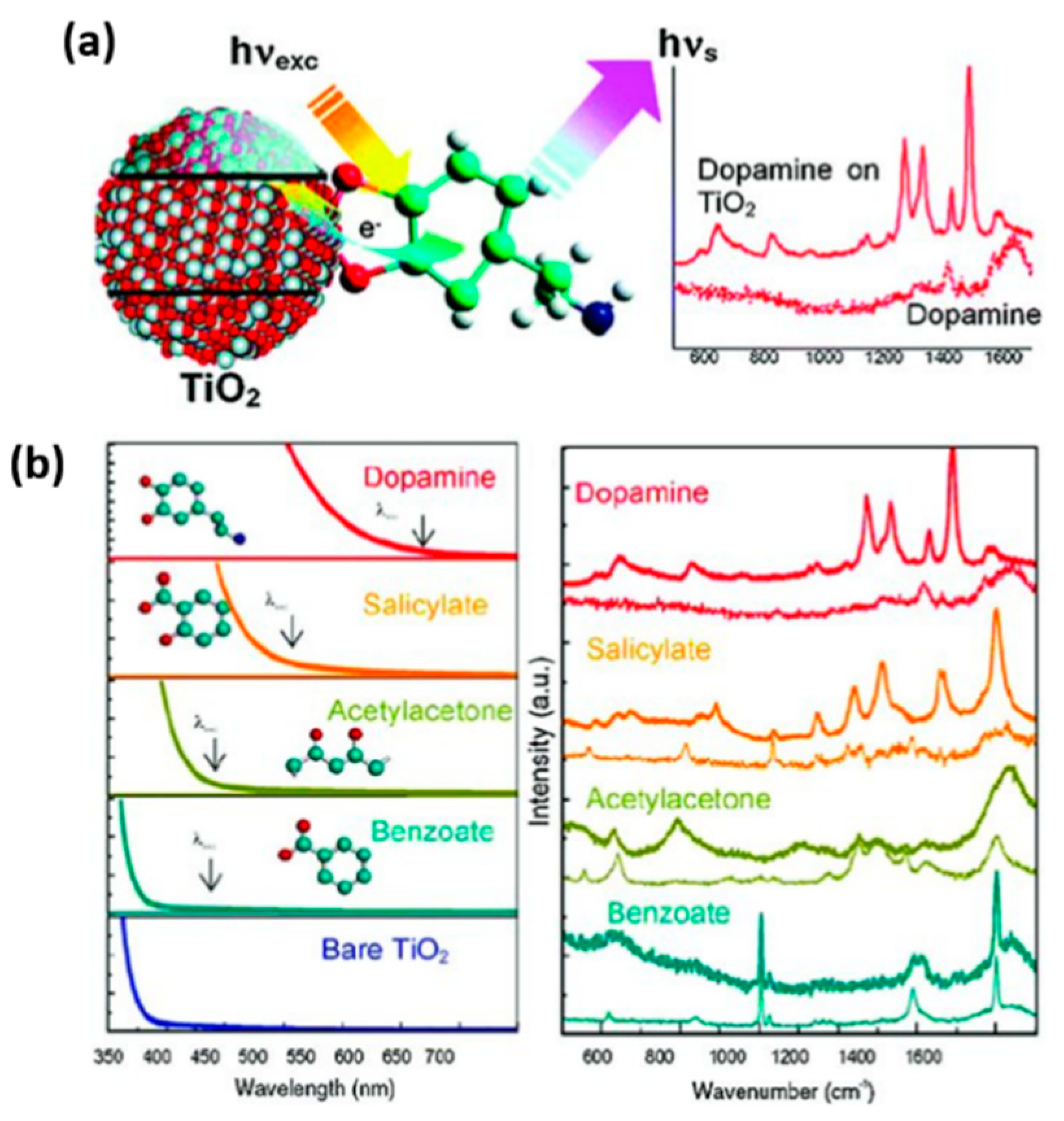 Membranes 12 00415 g007