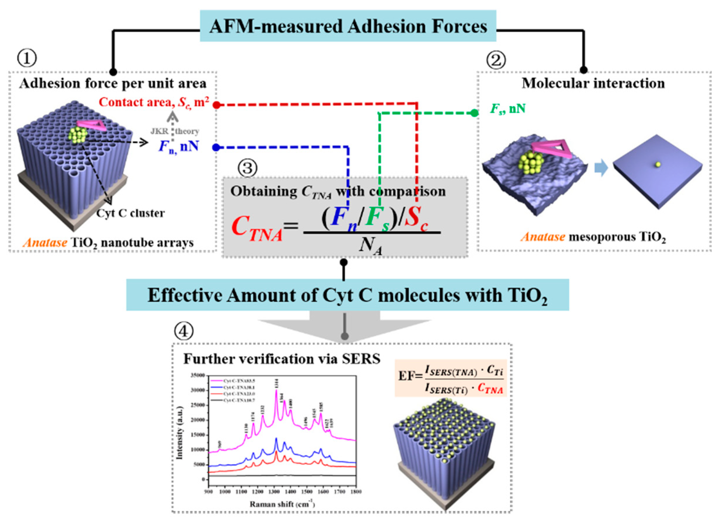 Membranes 12 00415 g008