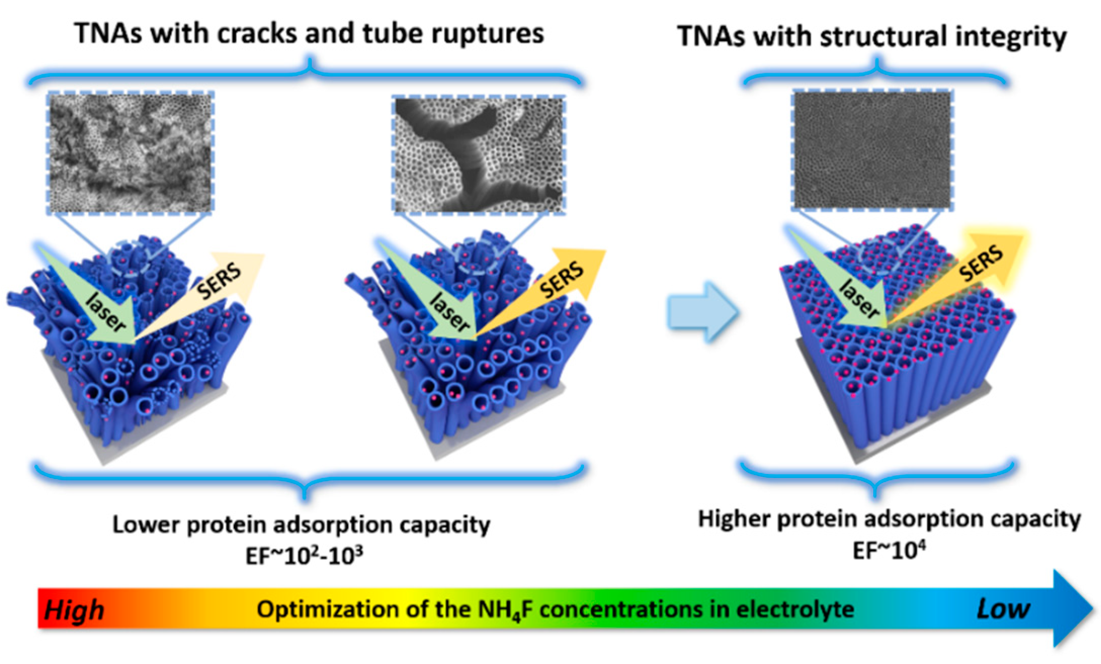 Membranes 12 00415 g009