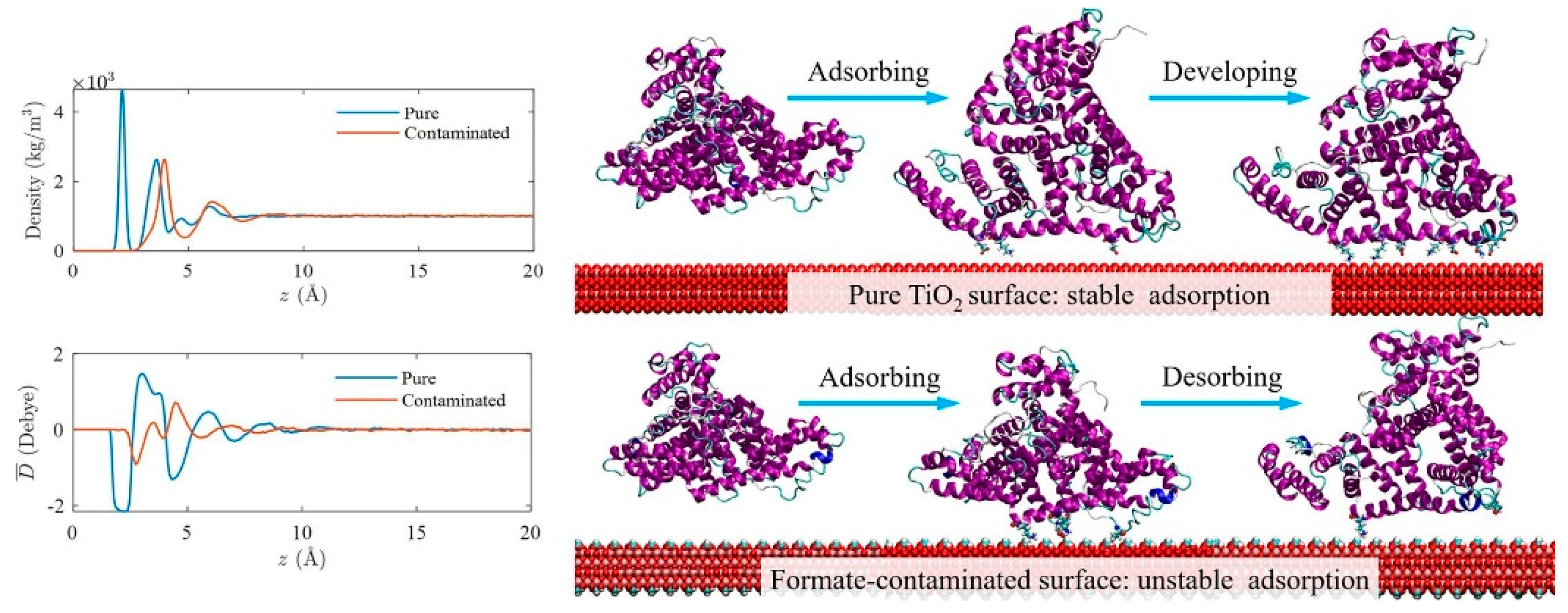 Membranes 12 00415 g012