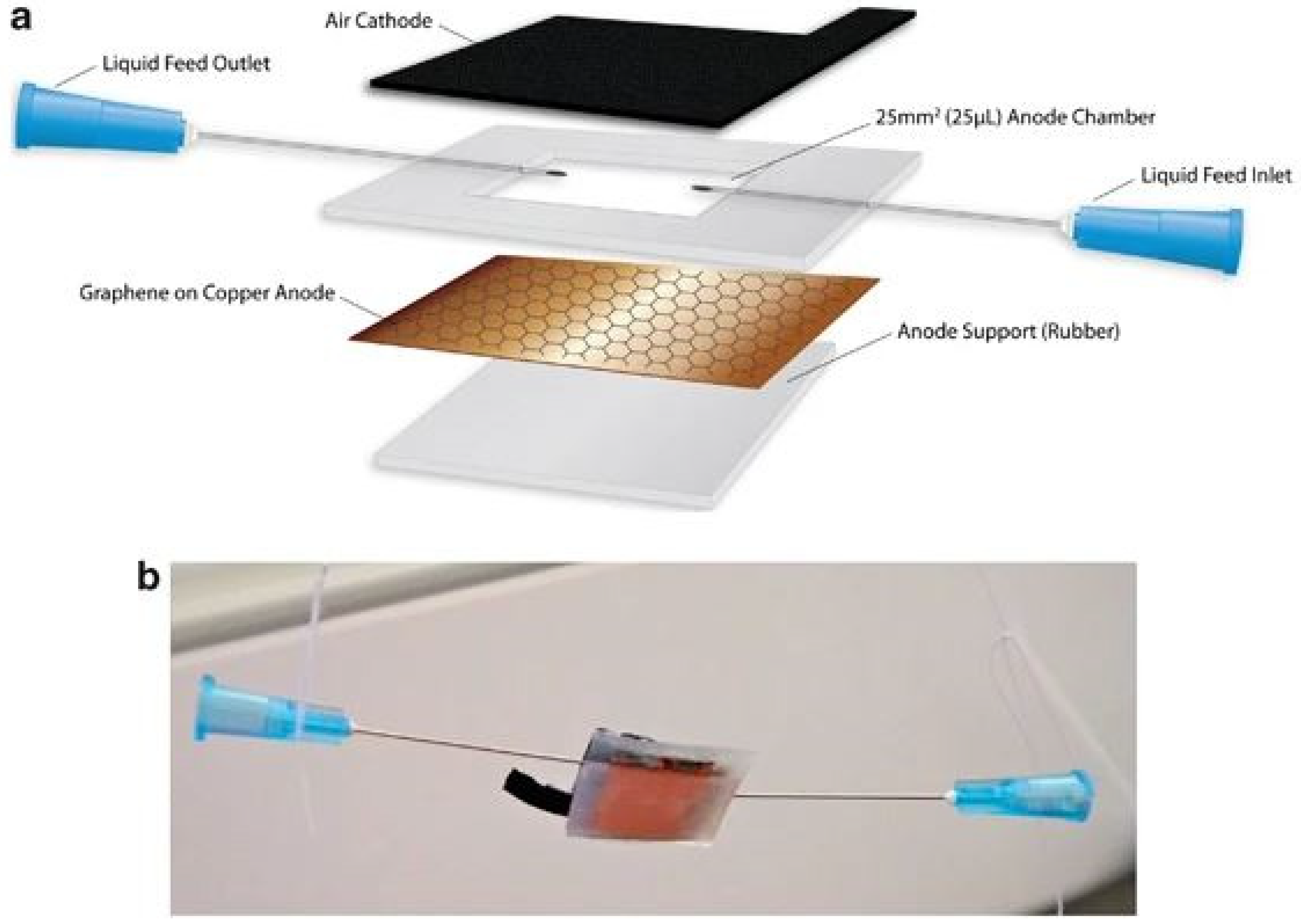 Membranes 12 00427 g002