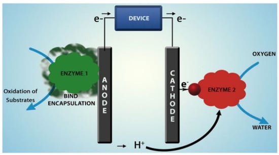 Membranes 12 00427 g004