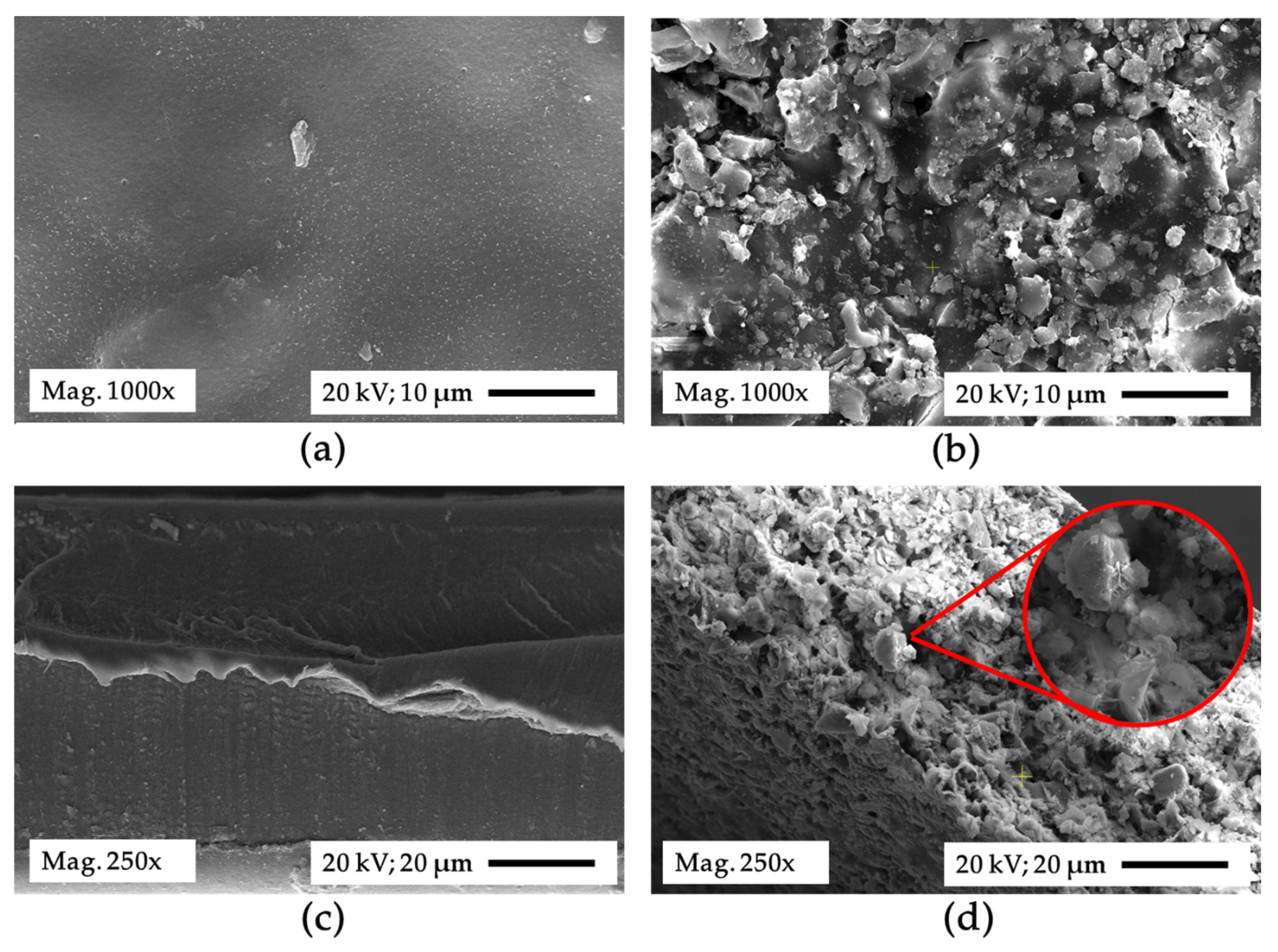 Membranes 12 00435 g003