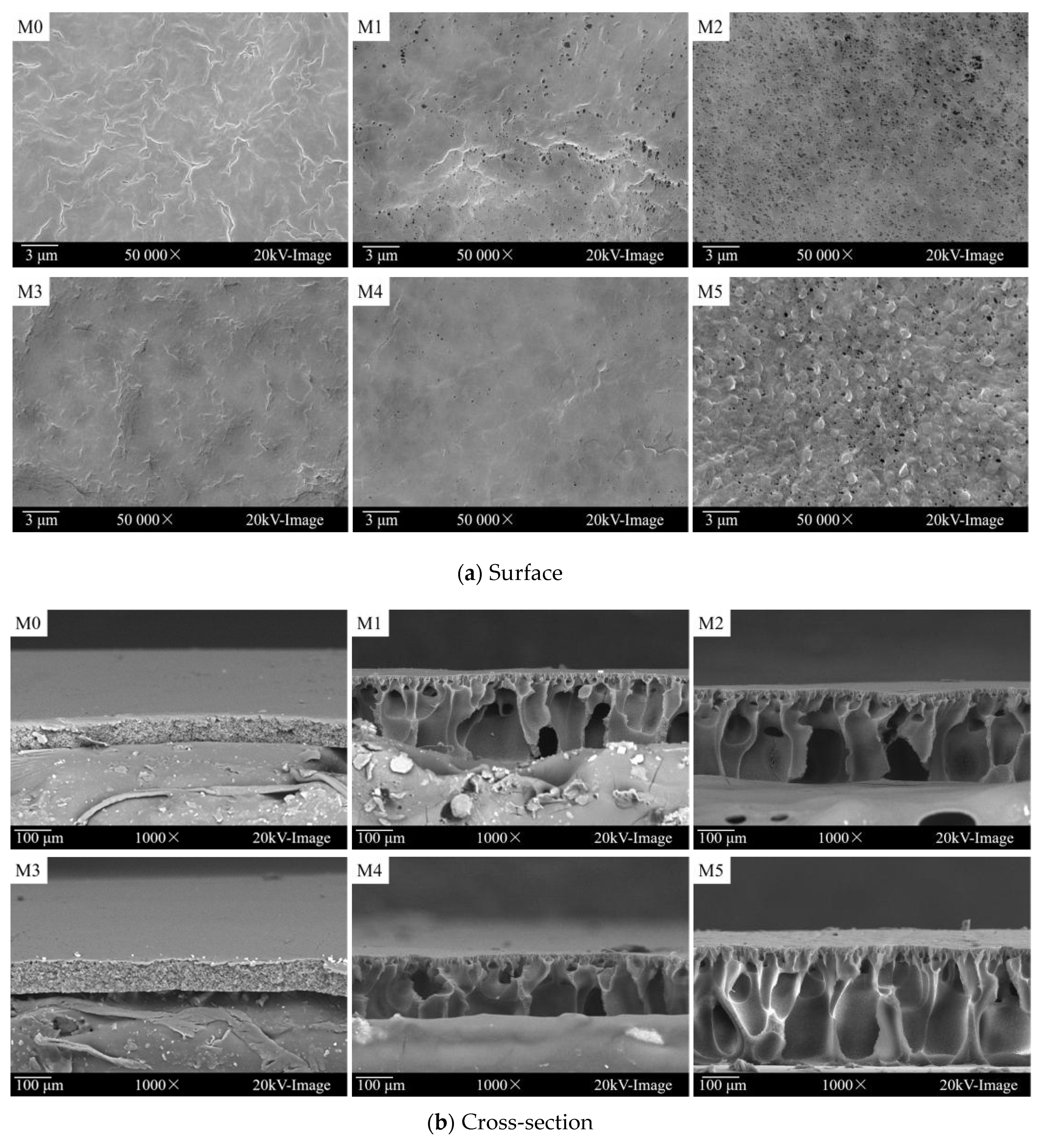 Membranes 12 00438 g003
