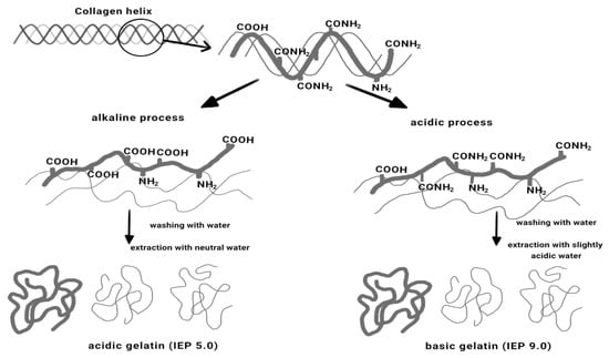 Membranes 12 00442 g001 550