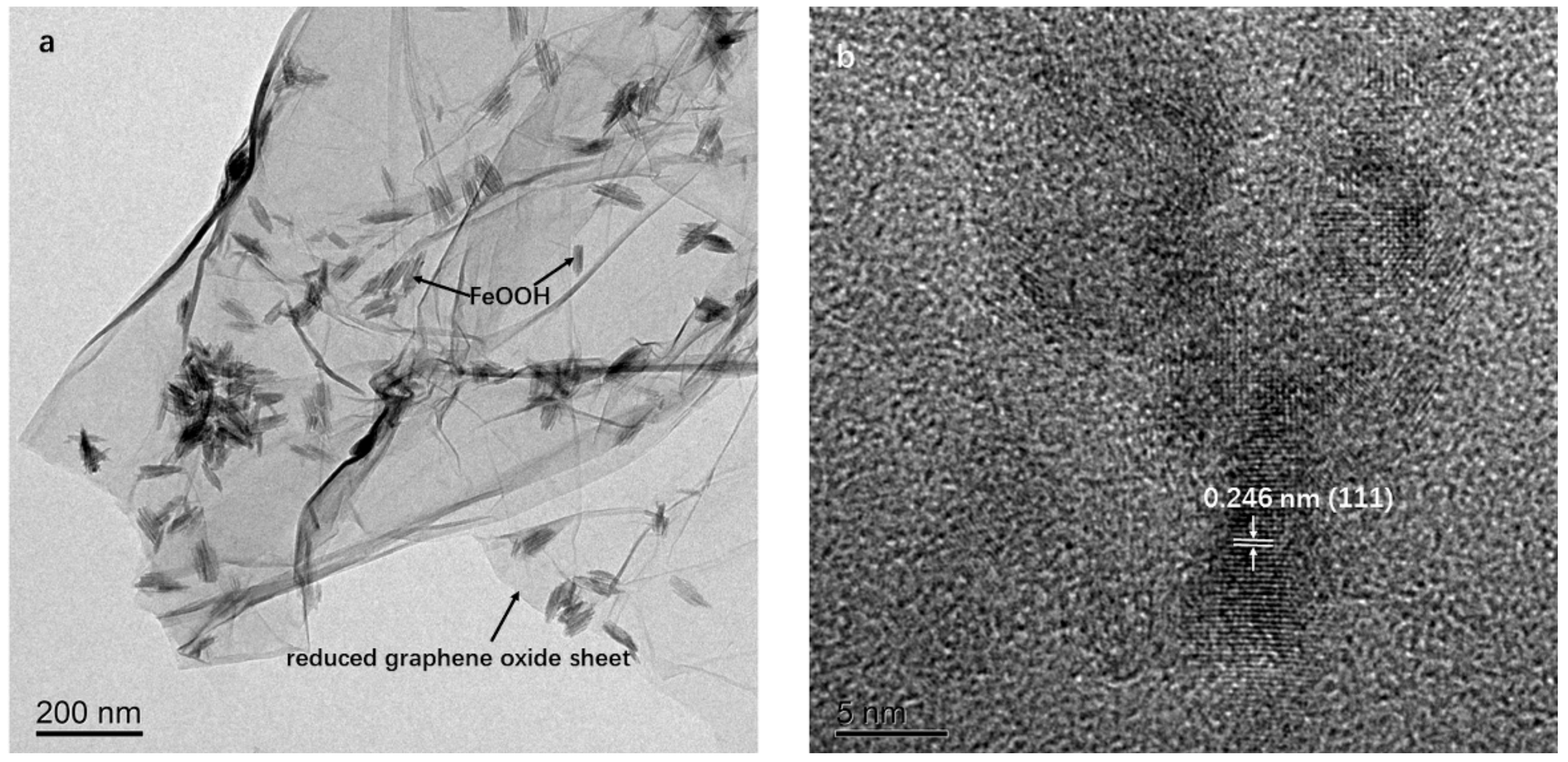 Membranes 12 00447 g002