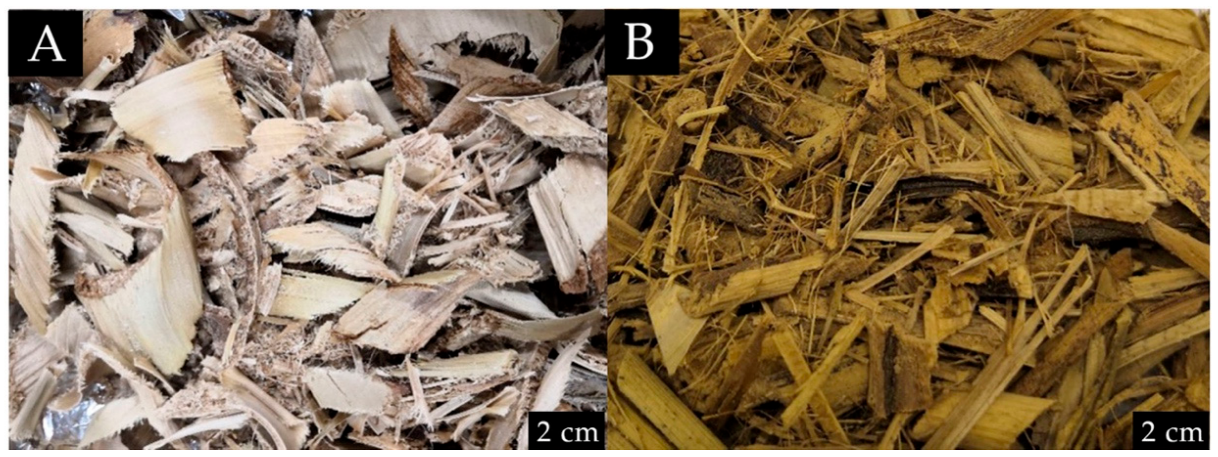 Membranes 12 00451 g001