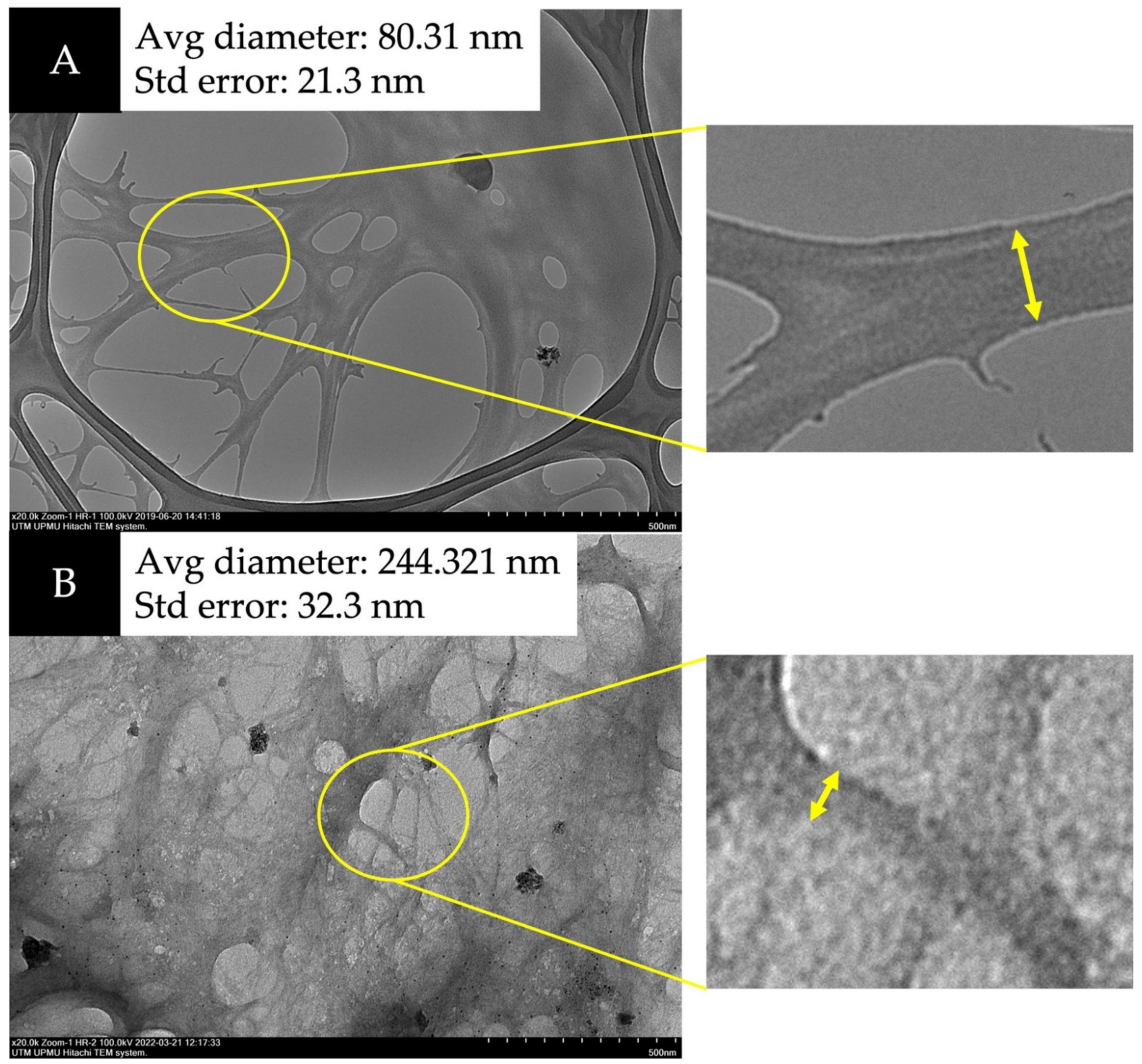 Membranes 12 00451 g004