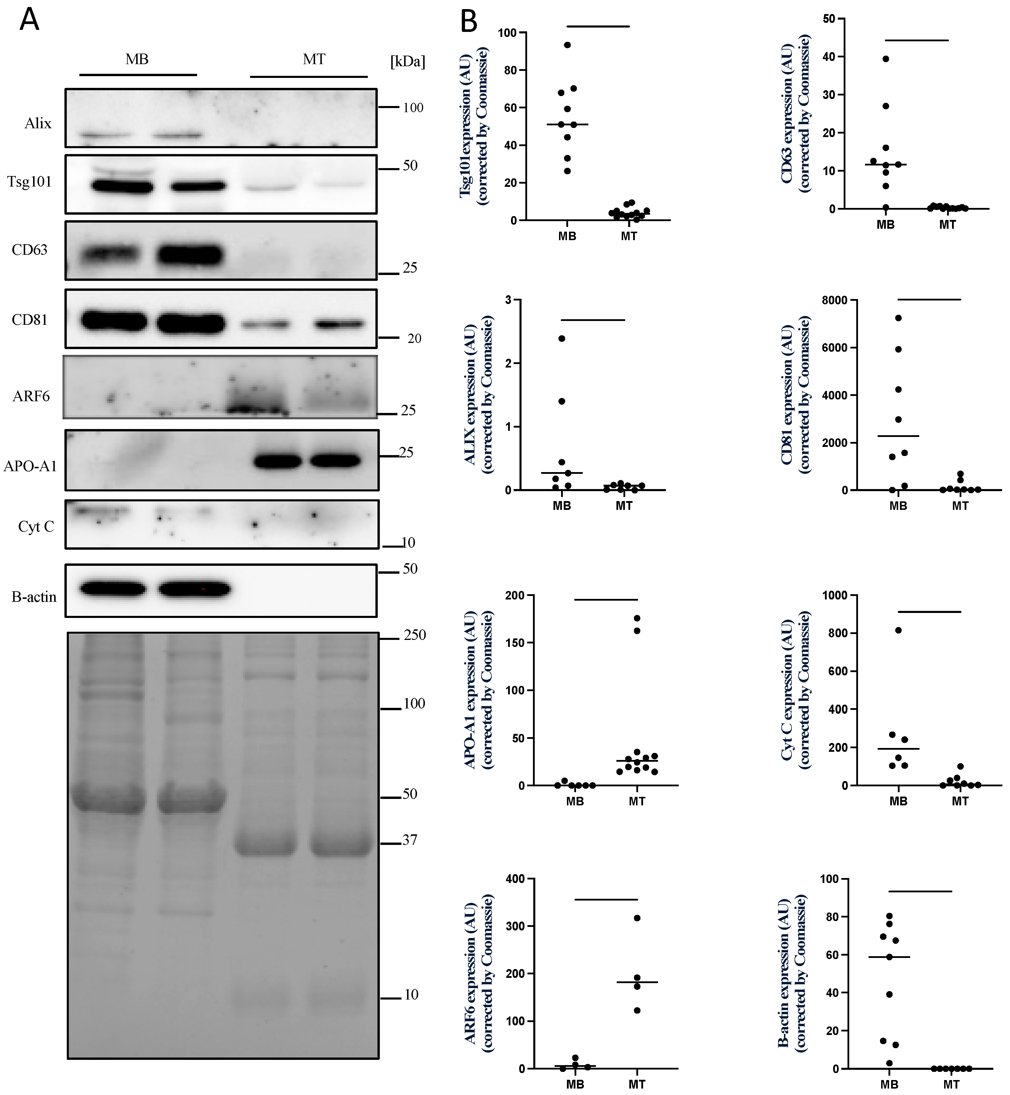 Membranes 12 00464 g003