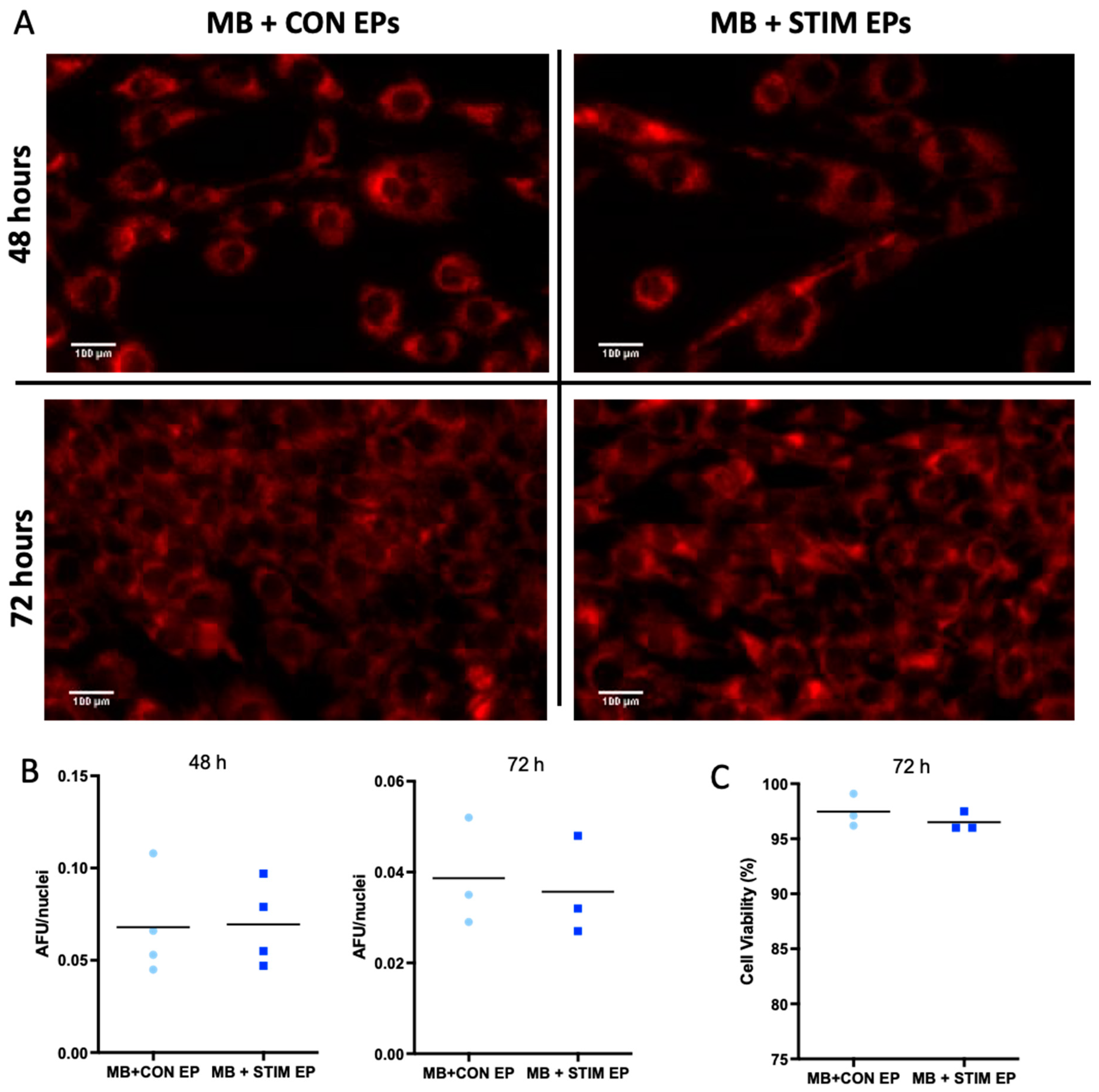 Membranes 12 00464 g006