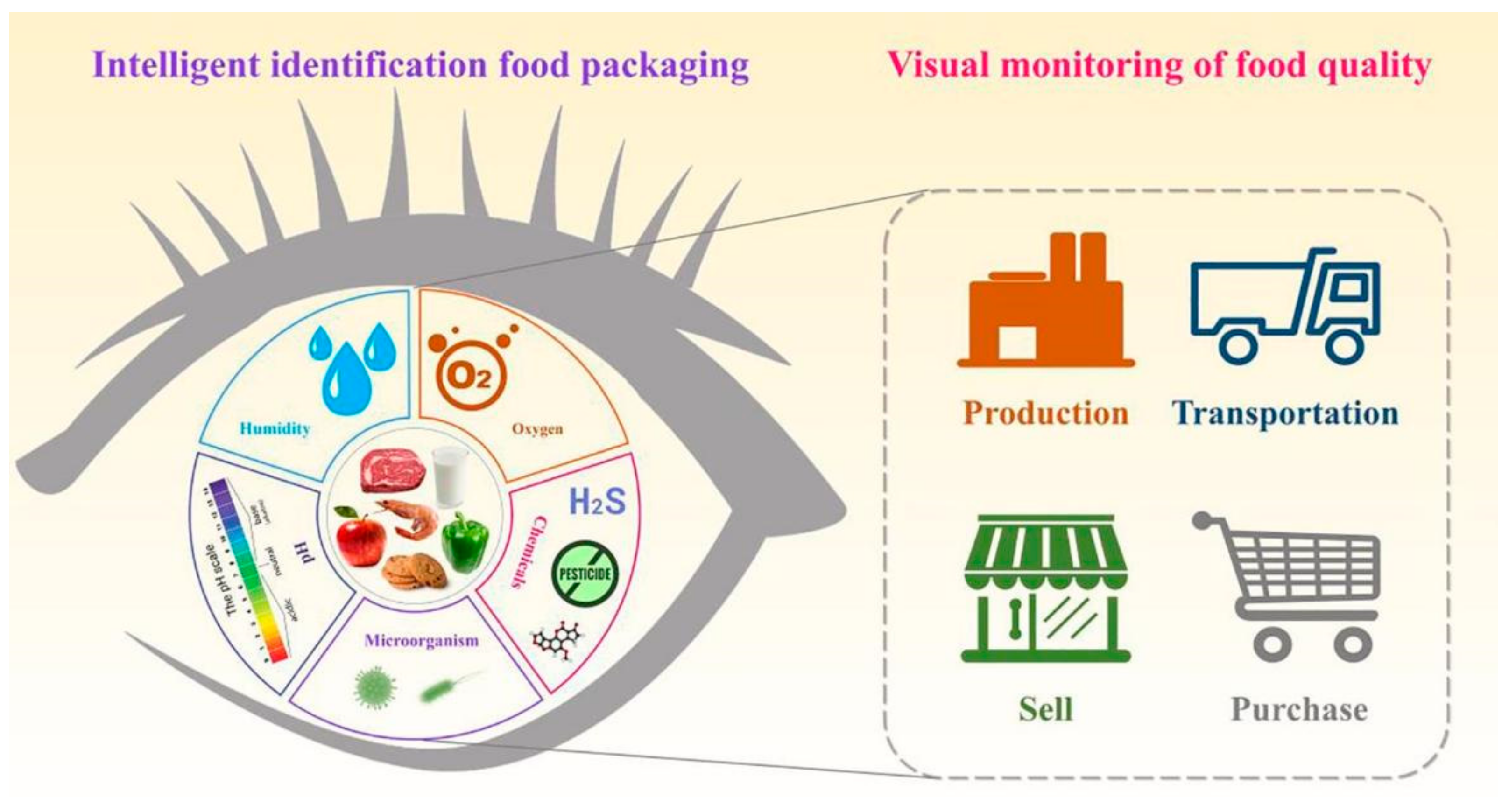 Membranes 12 00477 g001