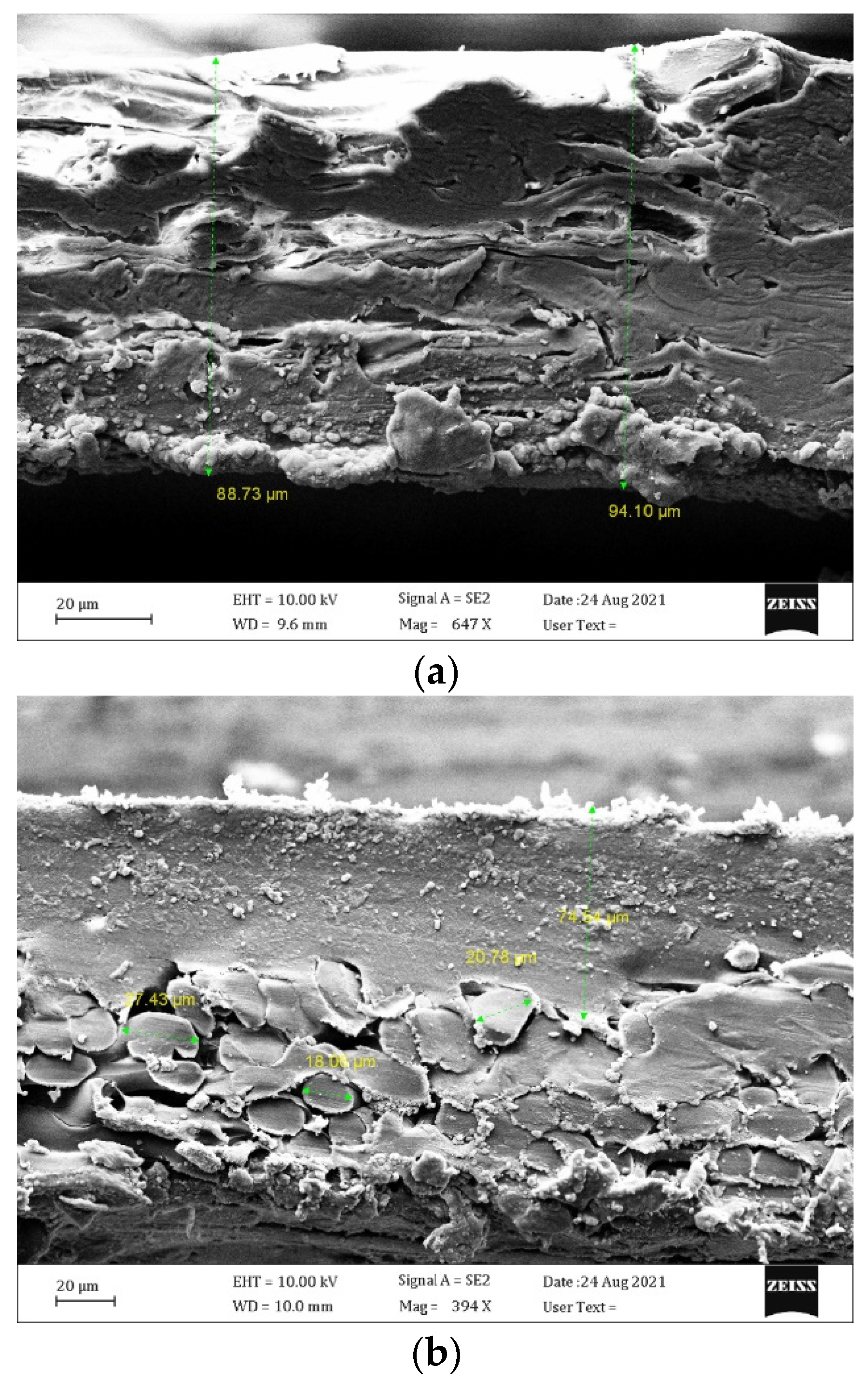 Membranes 12 00484 g003a