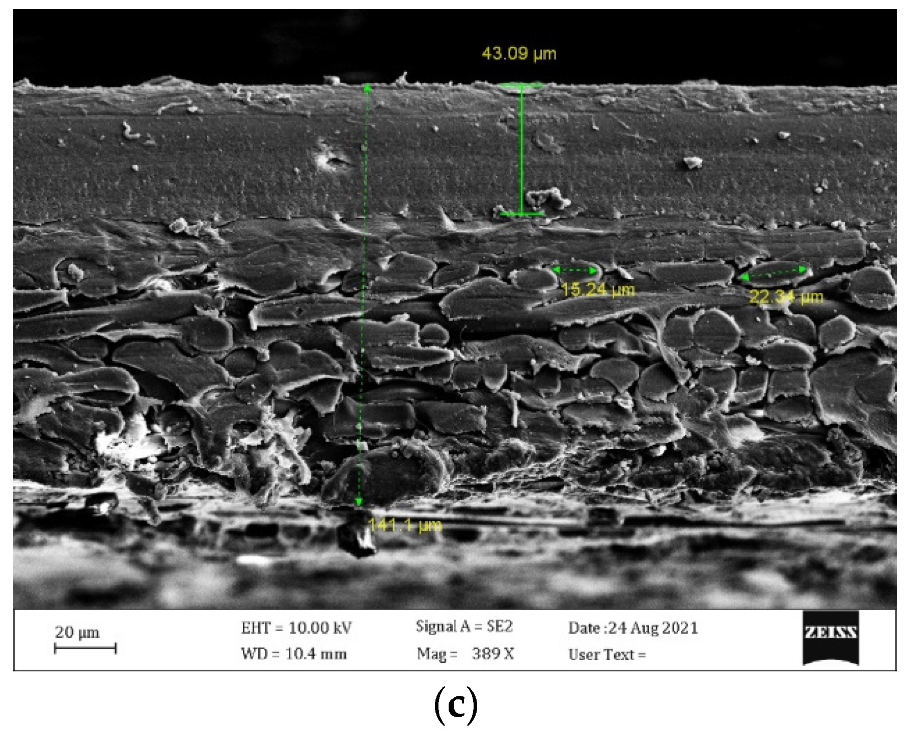 Membranes 12 00484 g003b