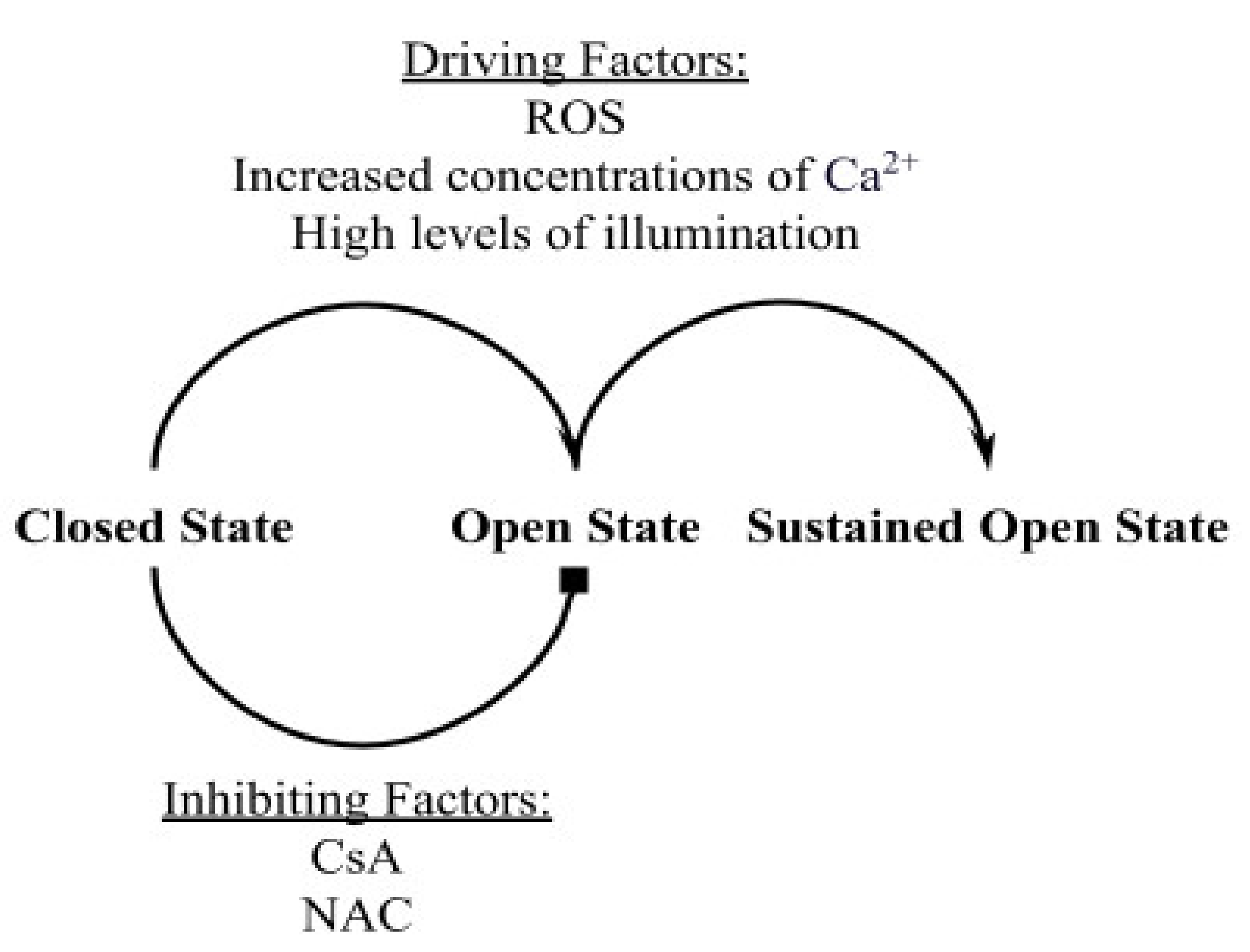 Membranes 12 00494 g001