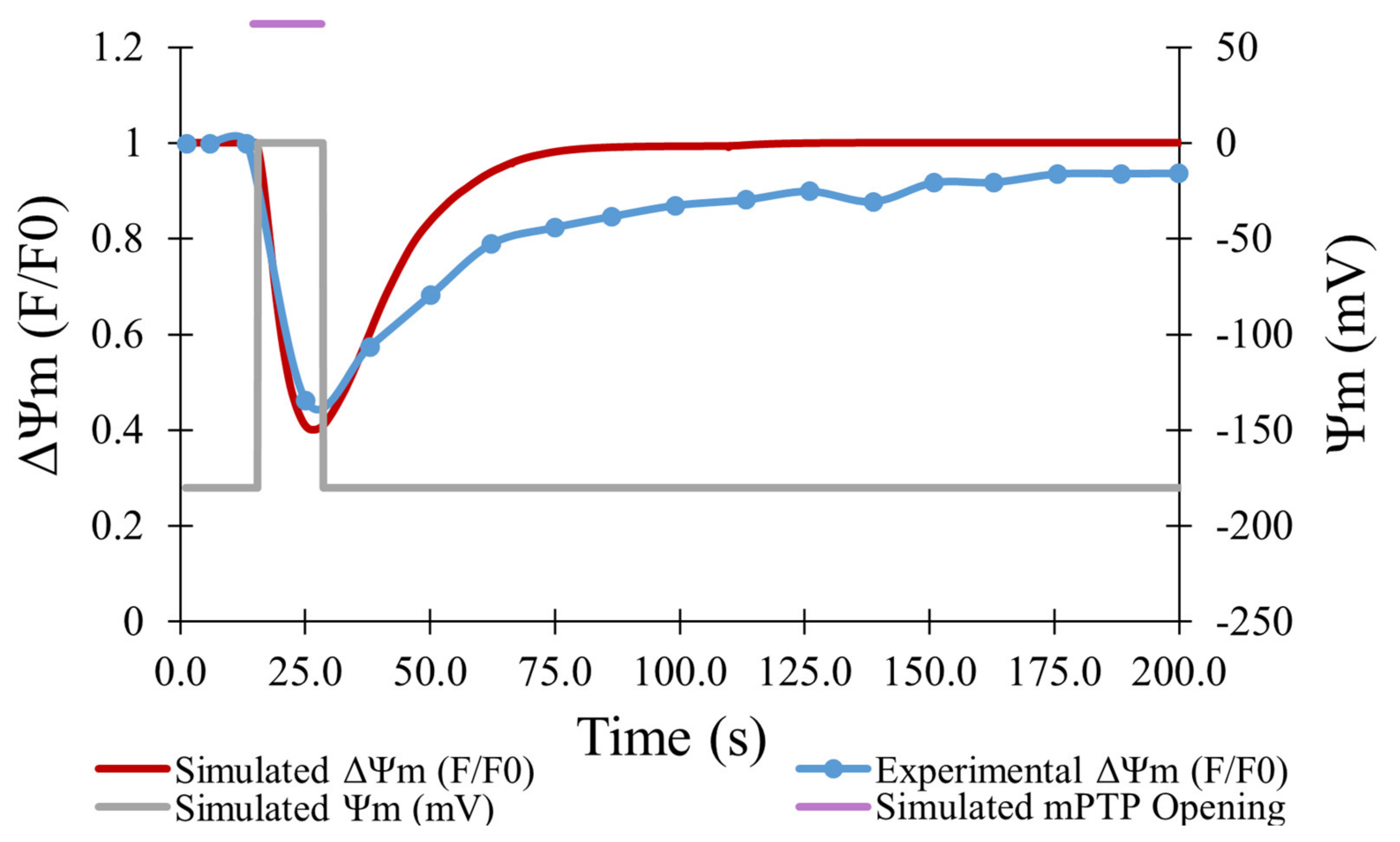 Membranes 12 00494 g004