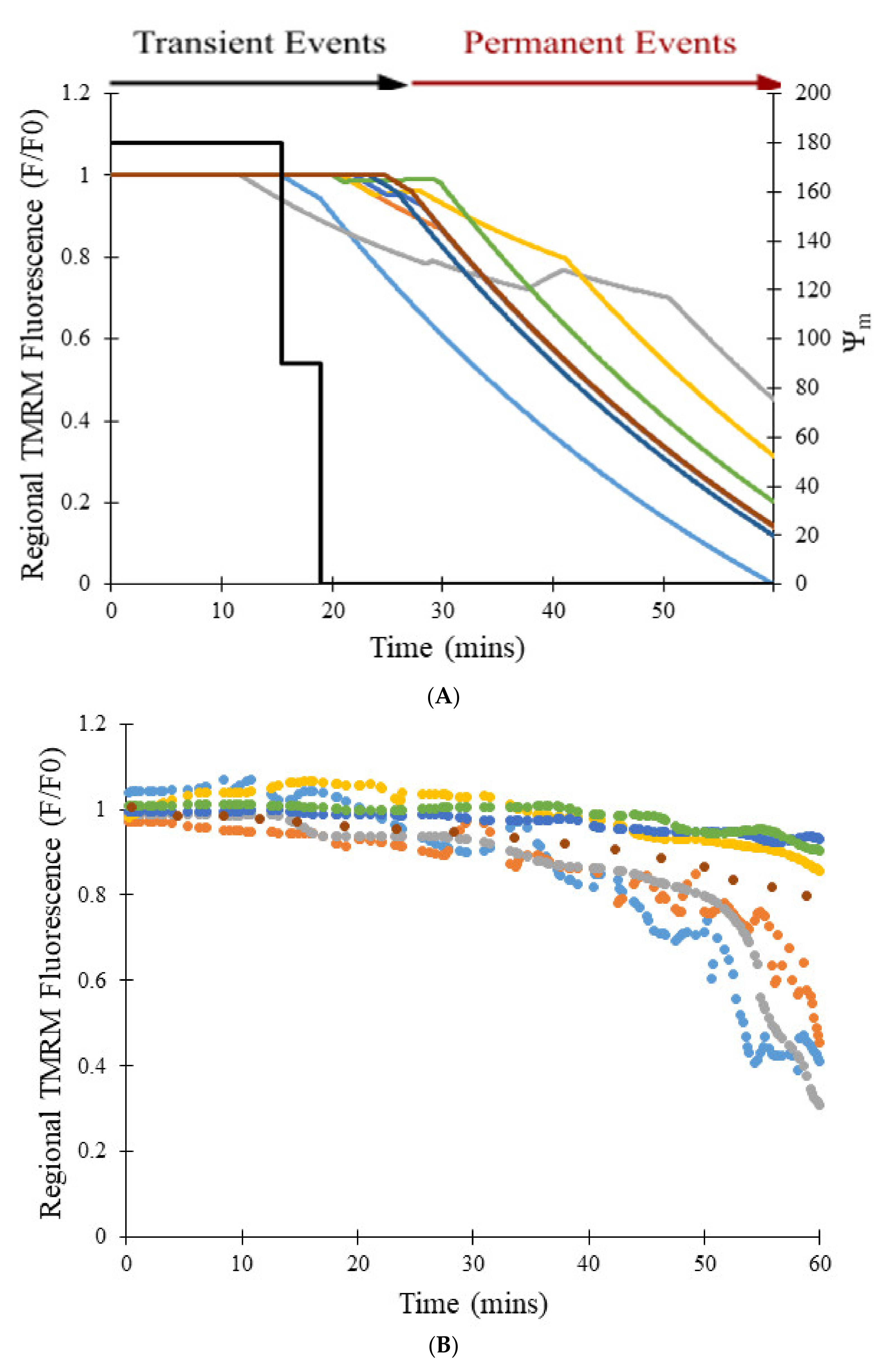 Membranes 12 00494 g009a