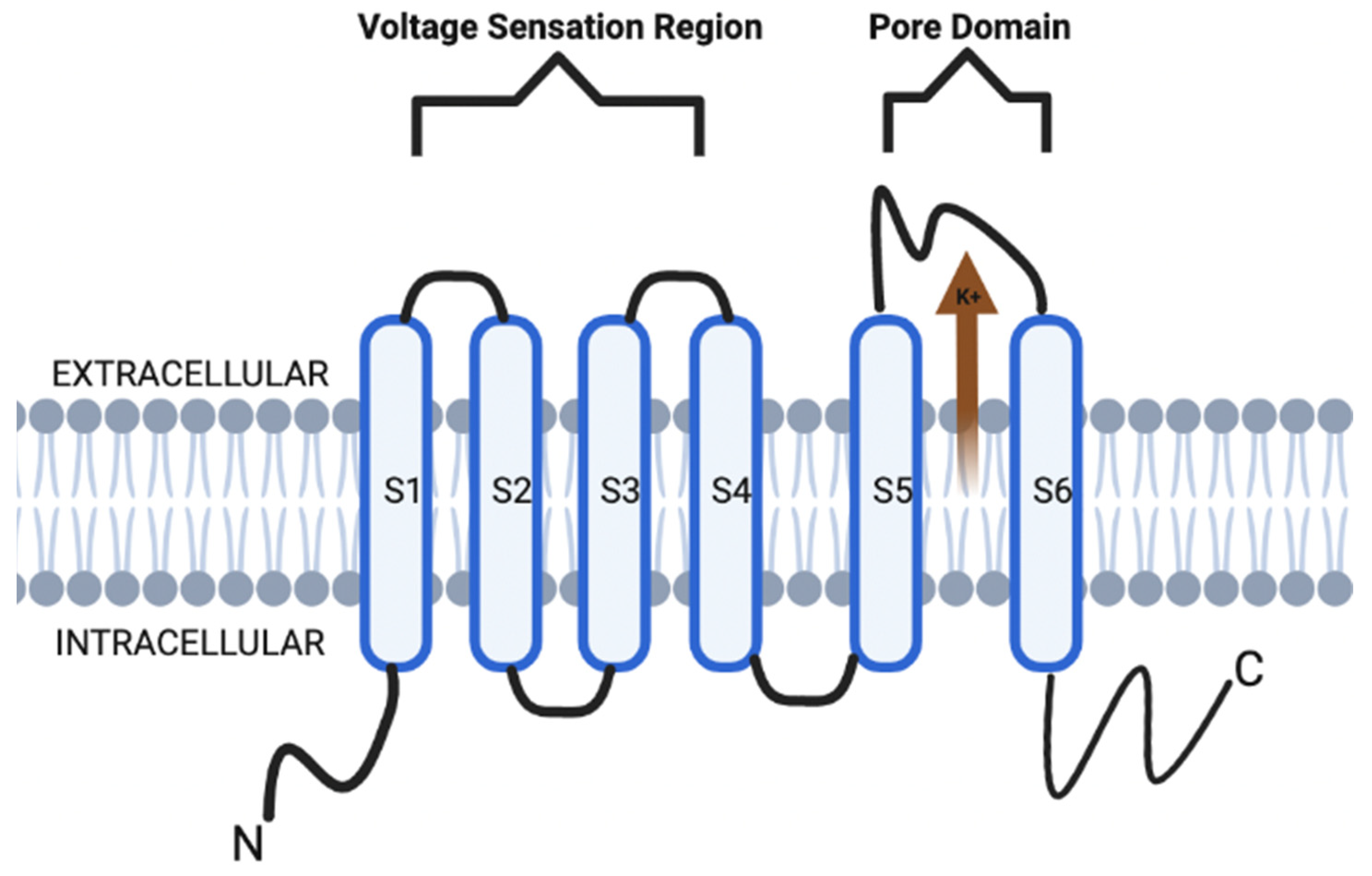 Membranes 12 00499 g001