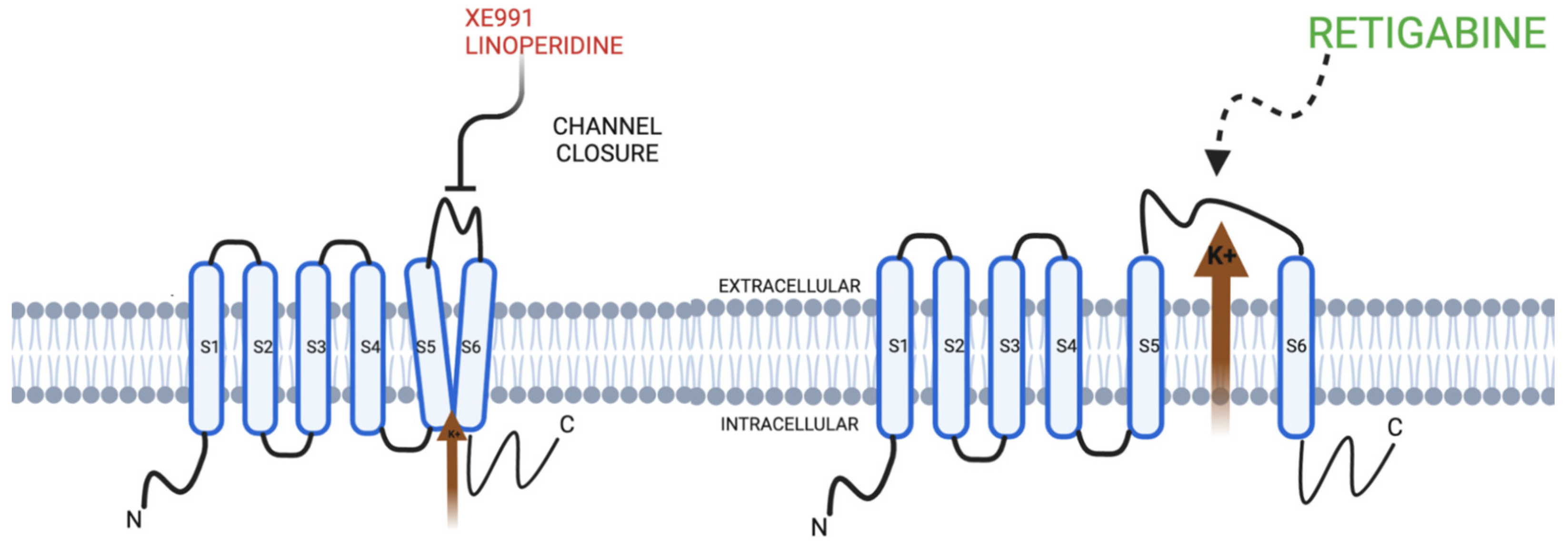 Membranes 12 00499 g002