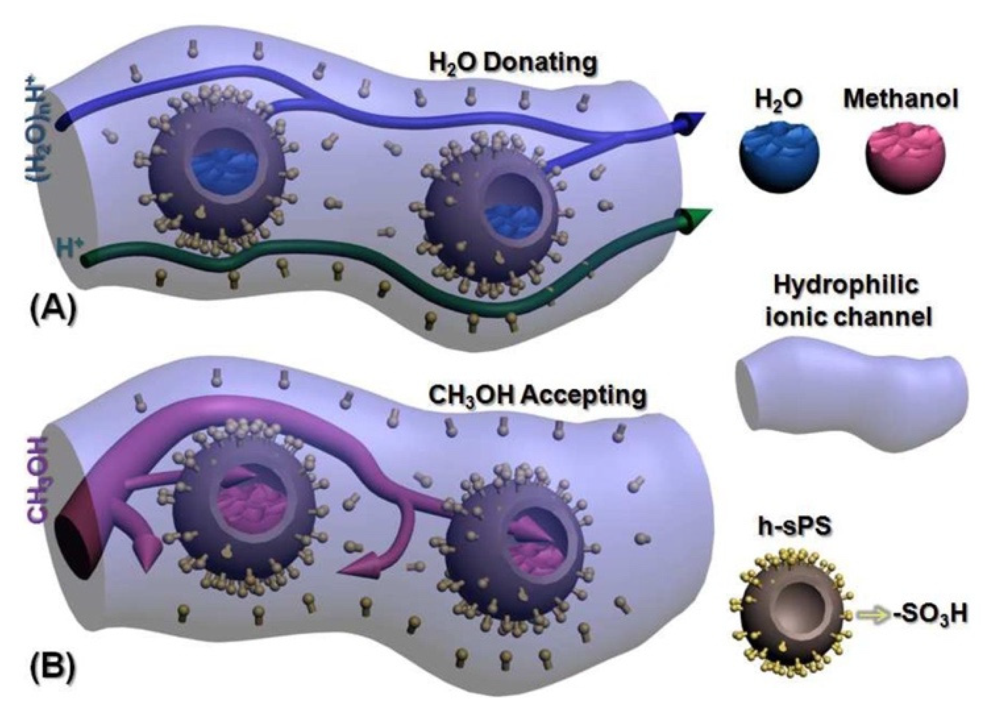 Membranes 12 00506 g006
