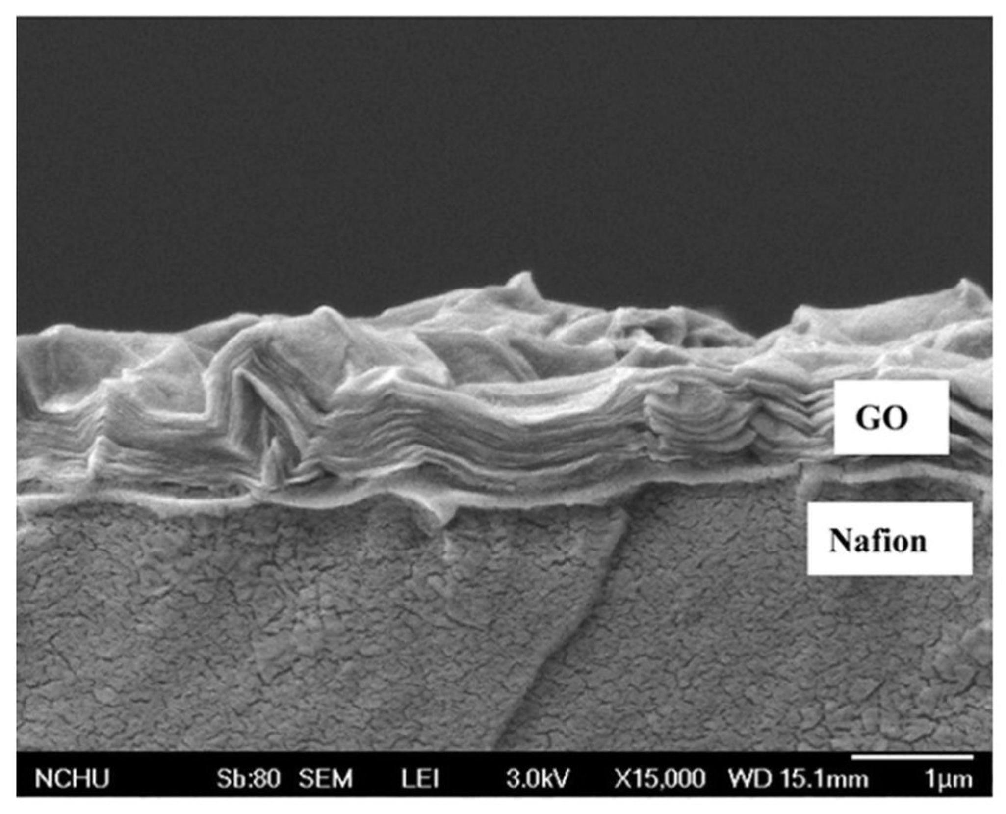 Membranes 12 00506 g013
