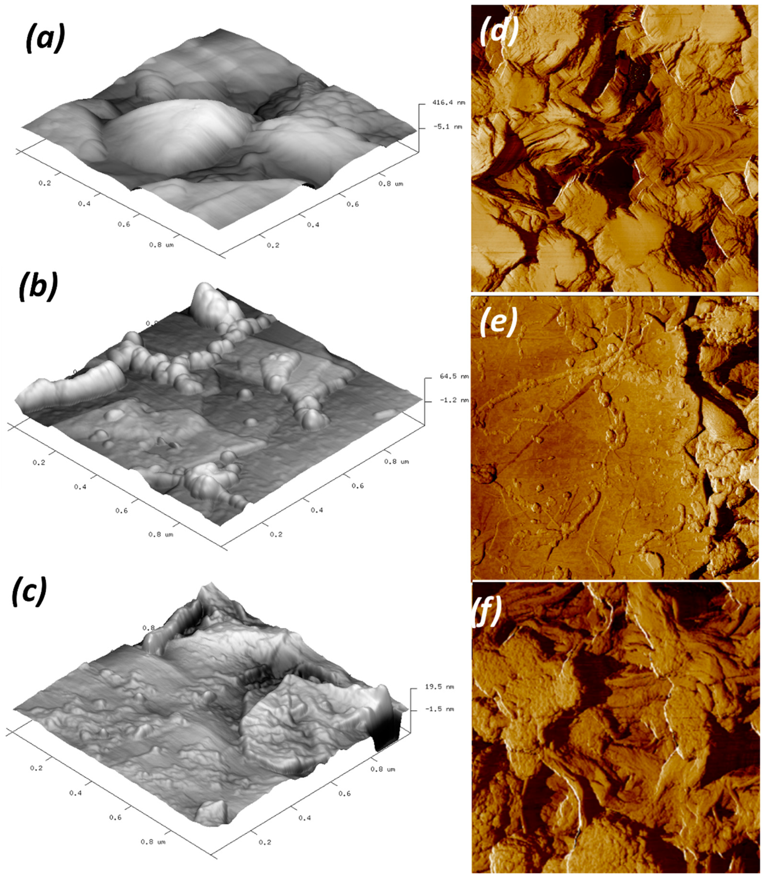 Membranes 12 00511 g007