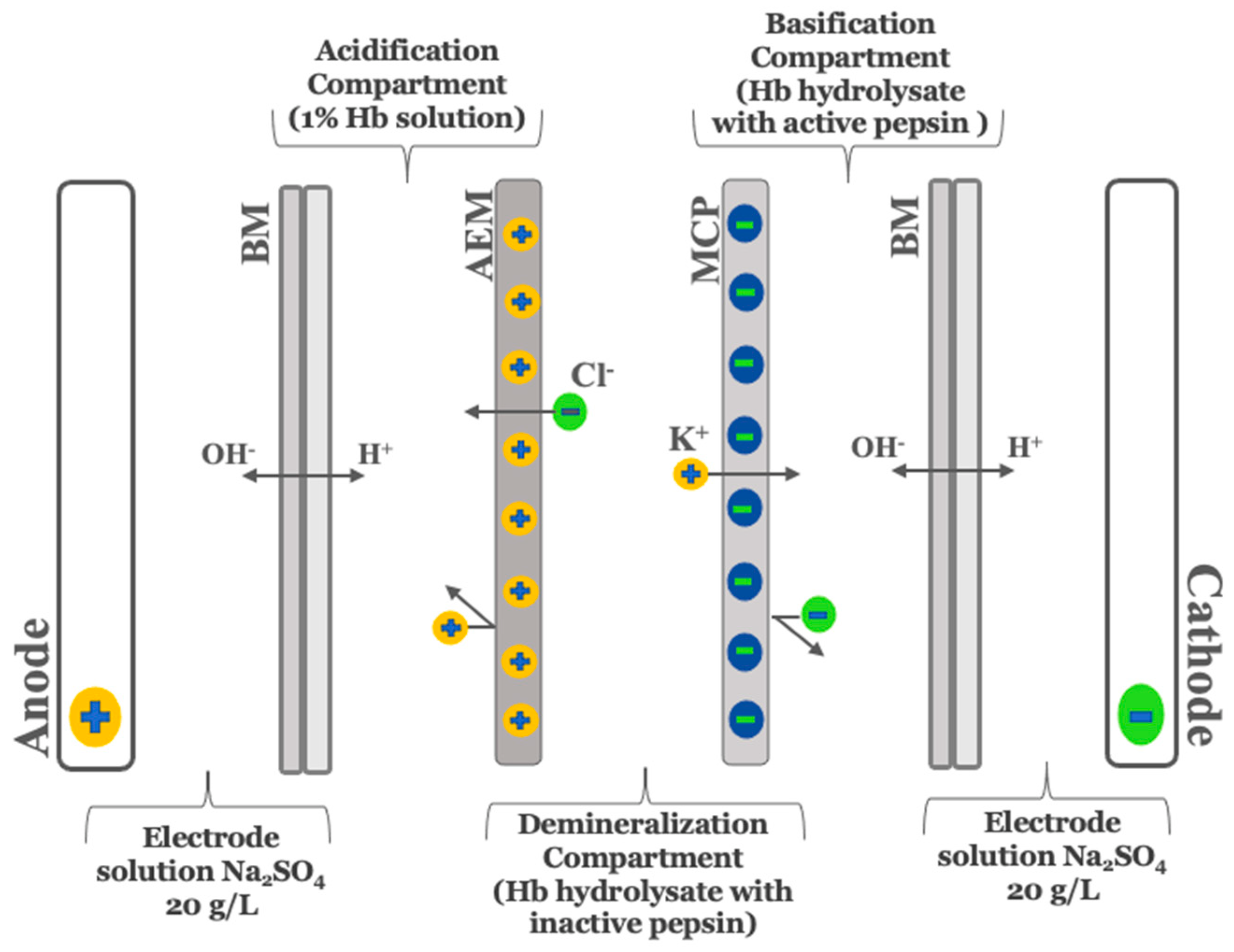 Membranes 12 00512 g001