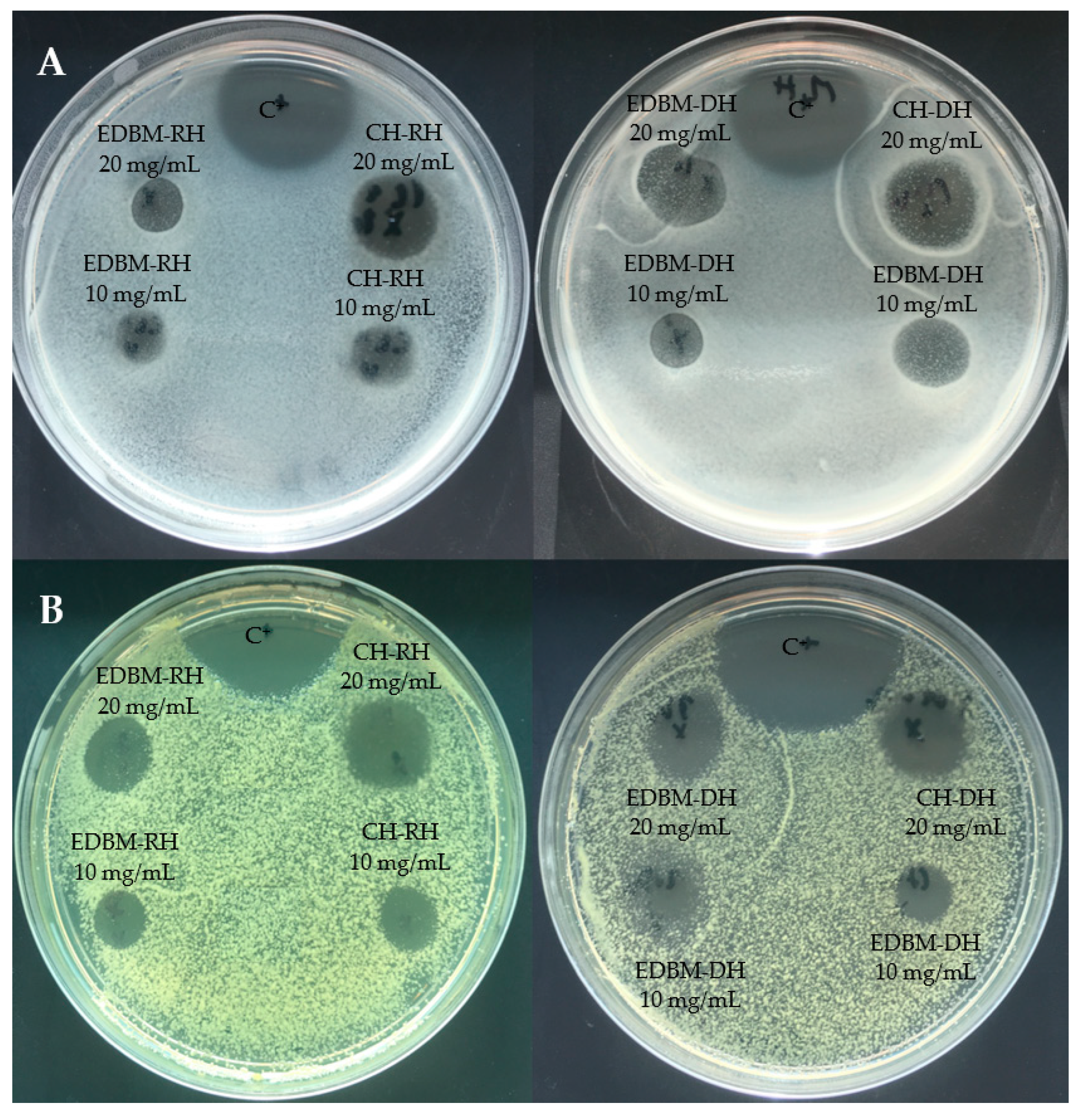 Membranes 12 00512 g003