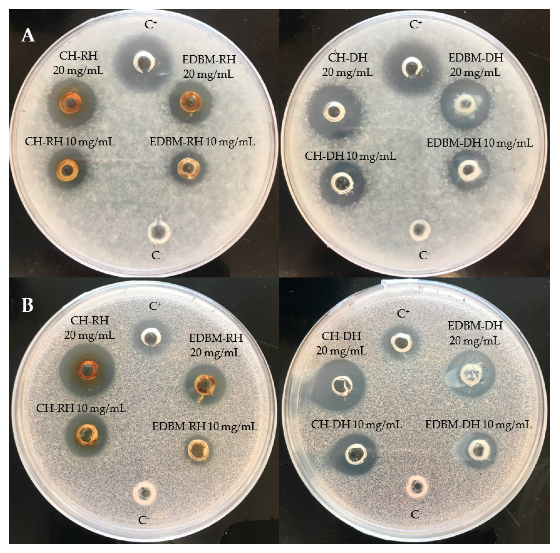 Membranes 12 00512 g004