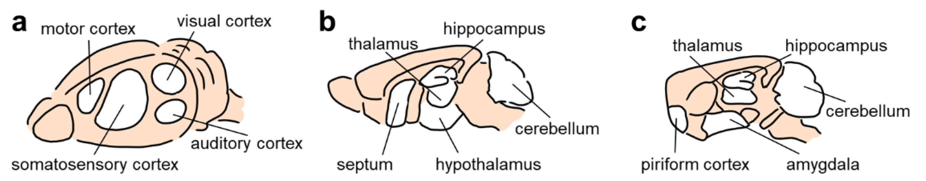 Membranes 12 00513 g002 Membranes 12 00513 g002