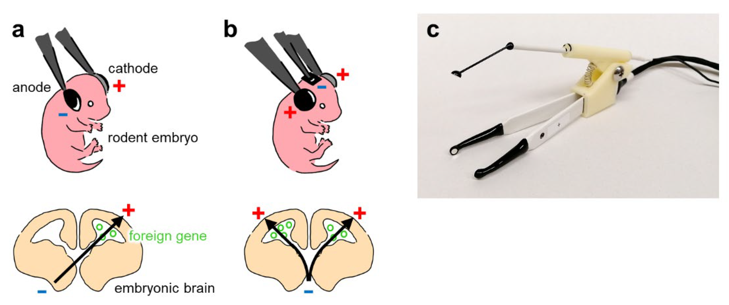 Membranes 12 00513 g003 Membranes 12 00513 g003
