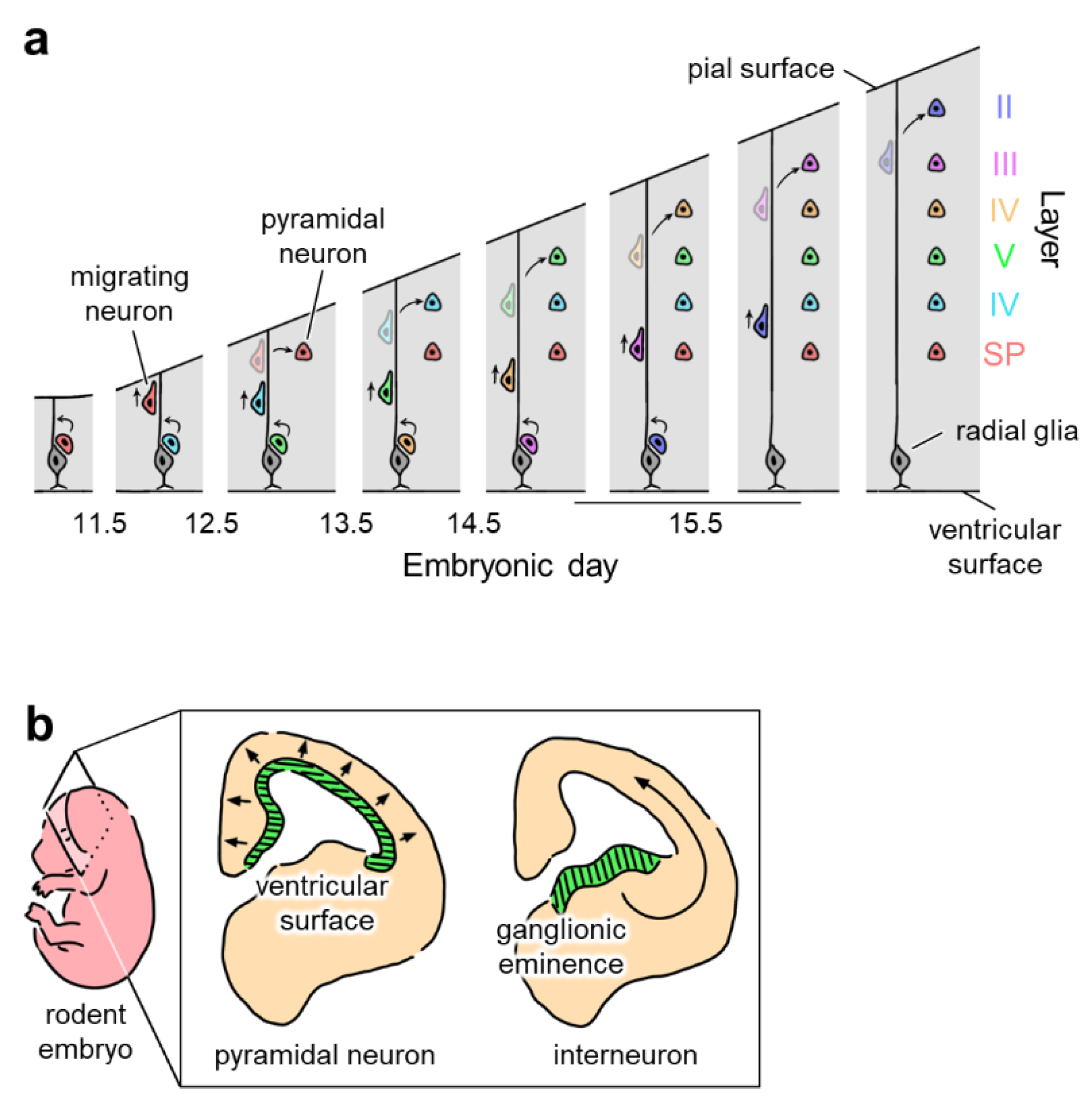 Membranes 12 00513 g004 Membranes 12 00513 g004