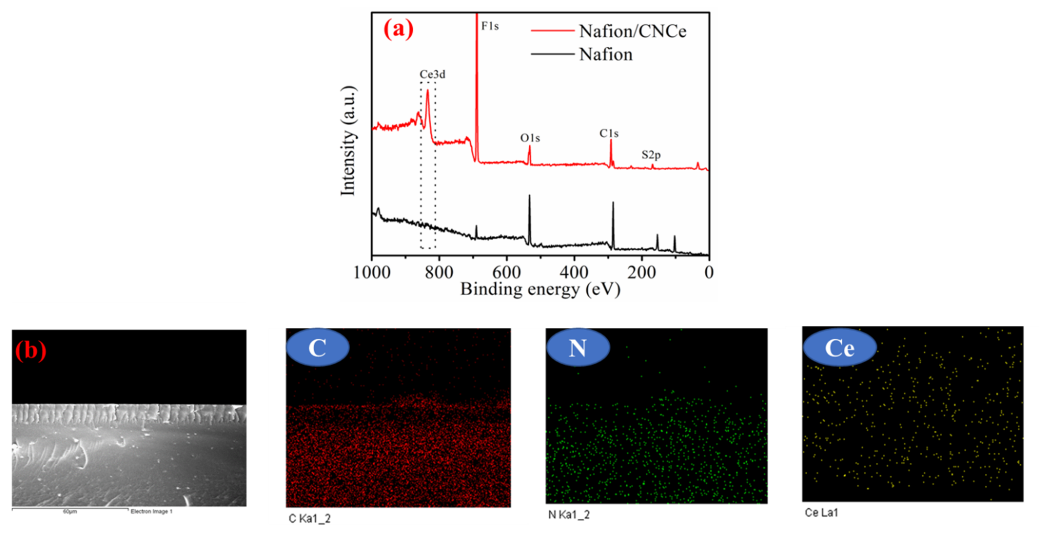 Membranes 12 00521 g003
