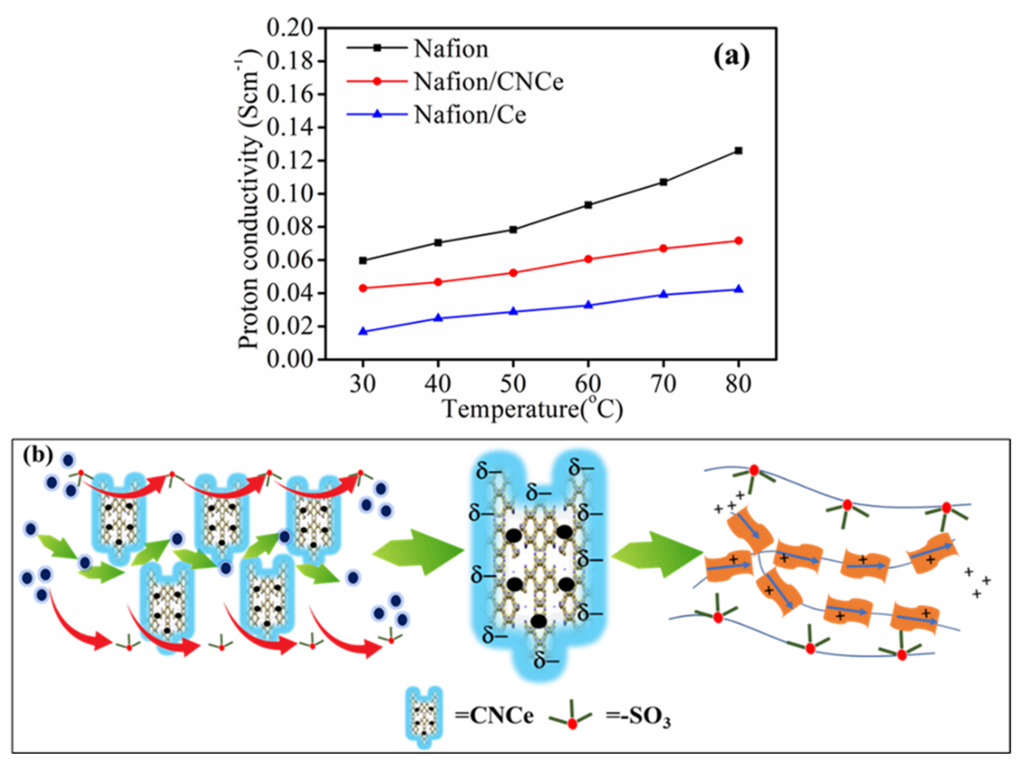 Membranes 12 00521 g006