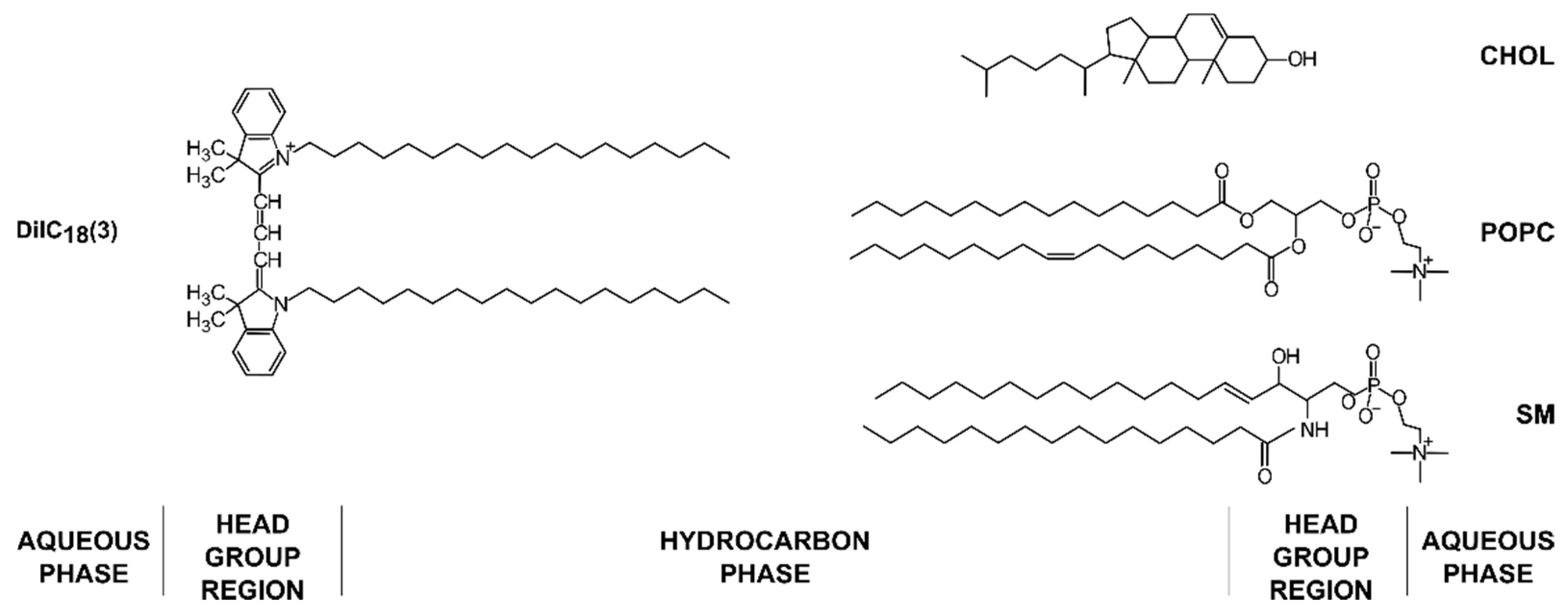 Membranes 12 00525 g001 Membranes 12 00525 g001