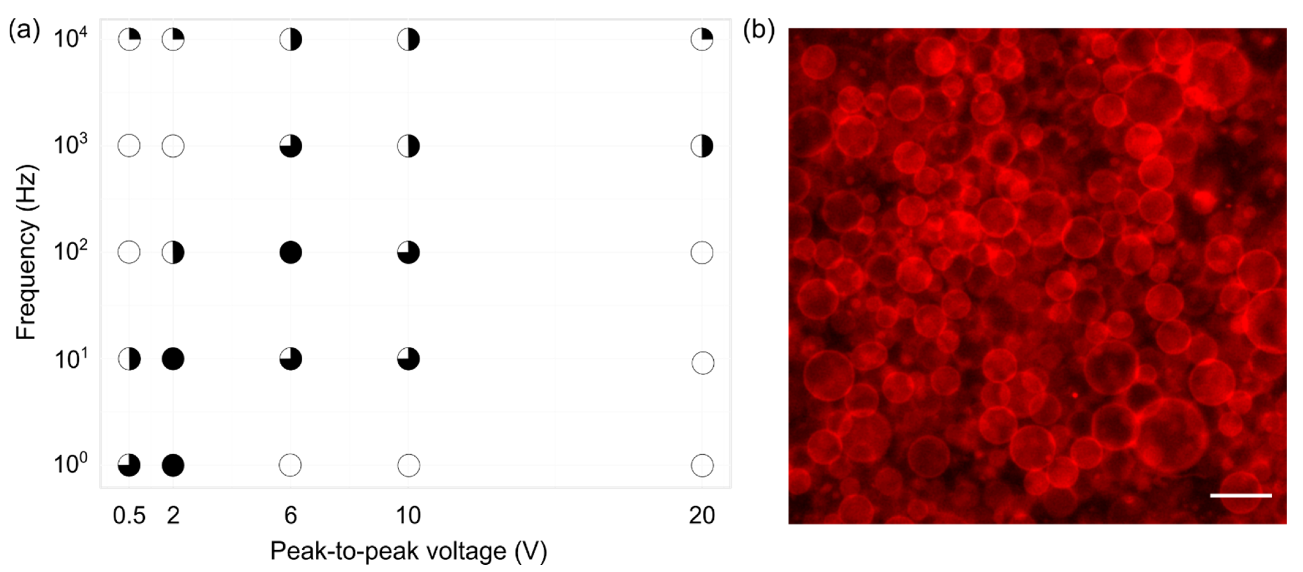 Membranes 12 00525 g003 Membranes 12 00525 g003