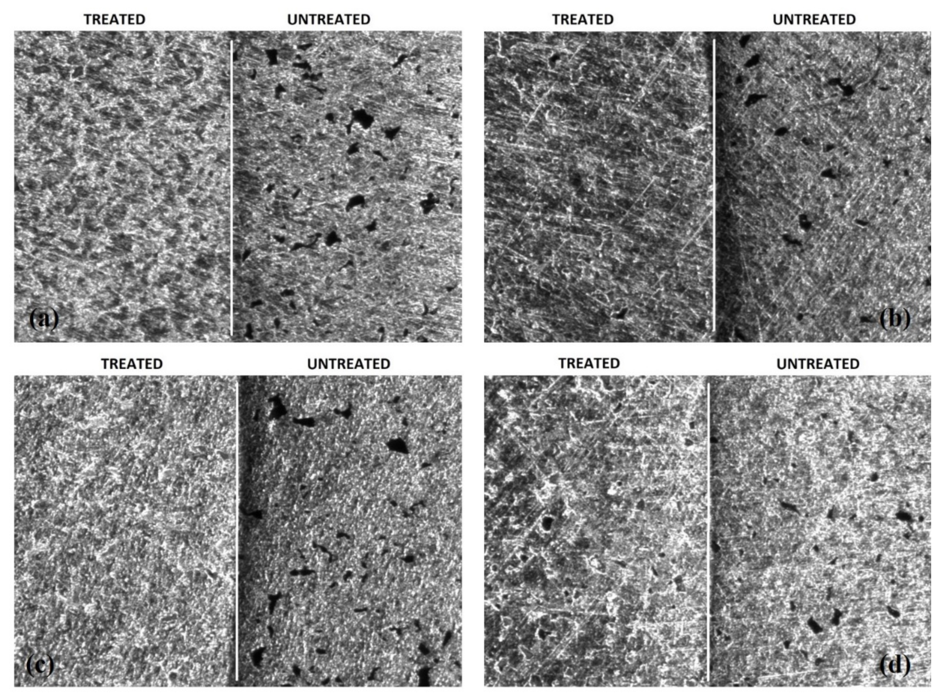 Membranes 12 00531 g010