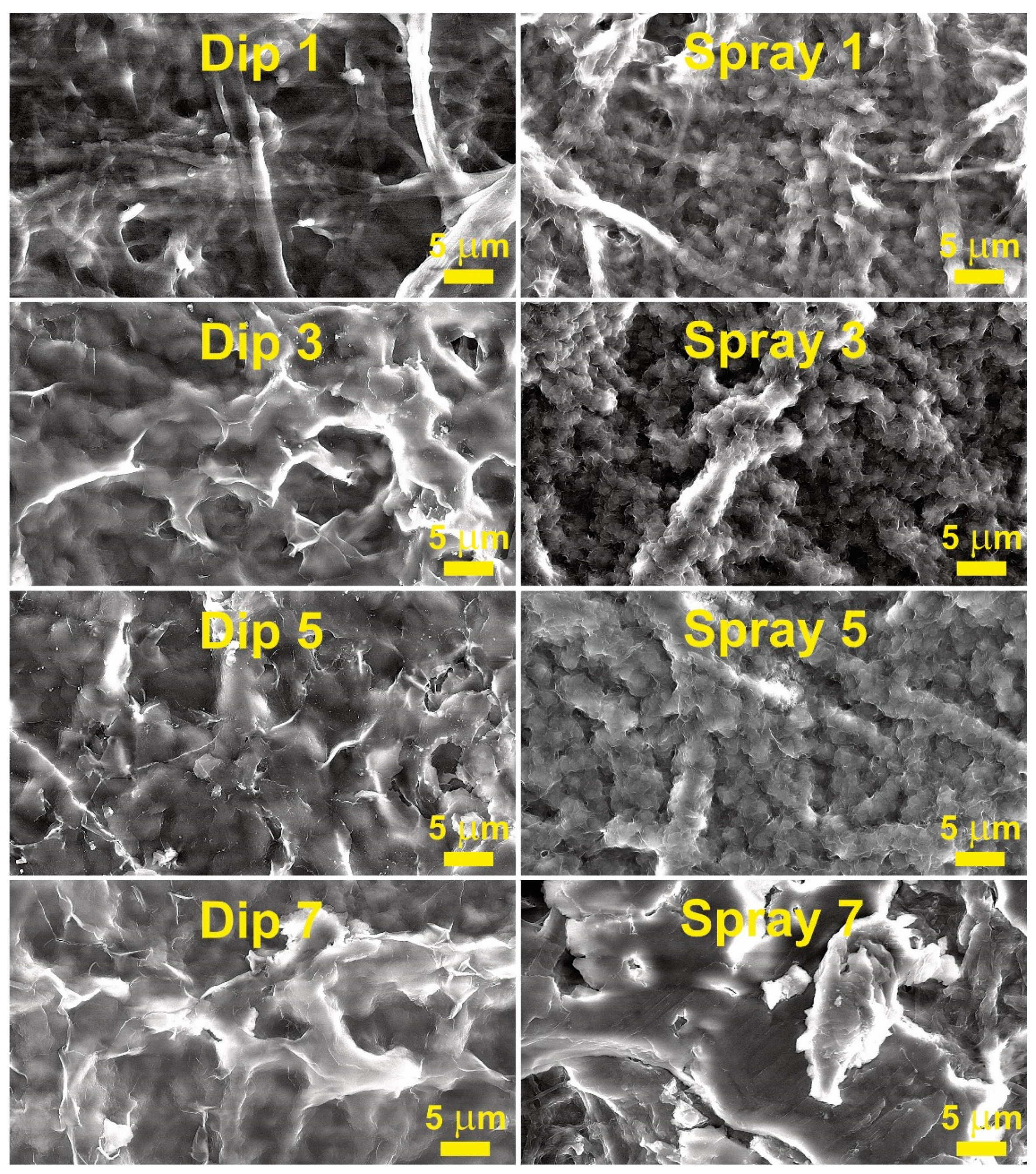Membranes 12 00537 g004