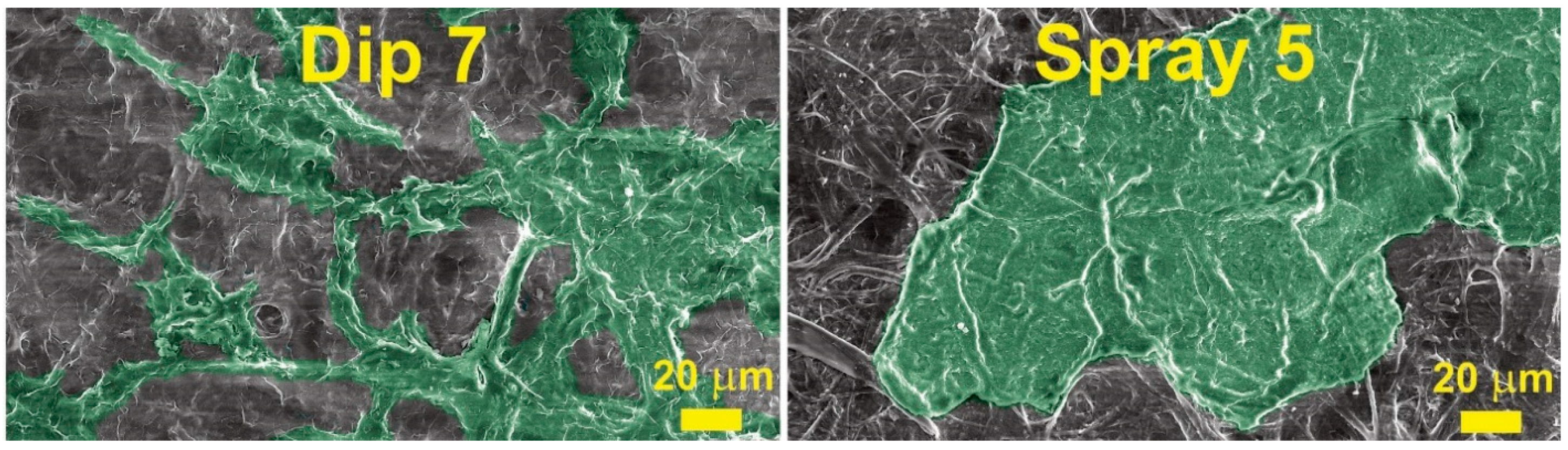 Membranes 12 00537 g007