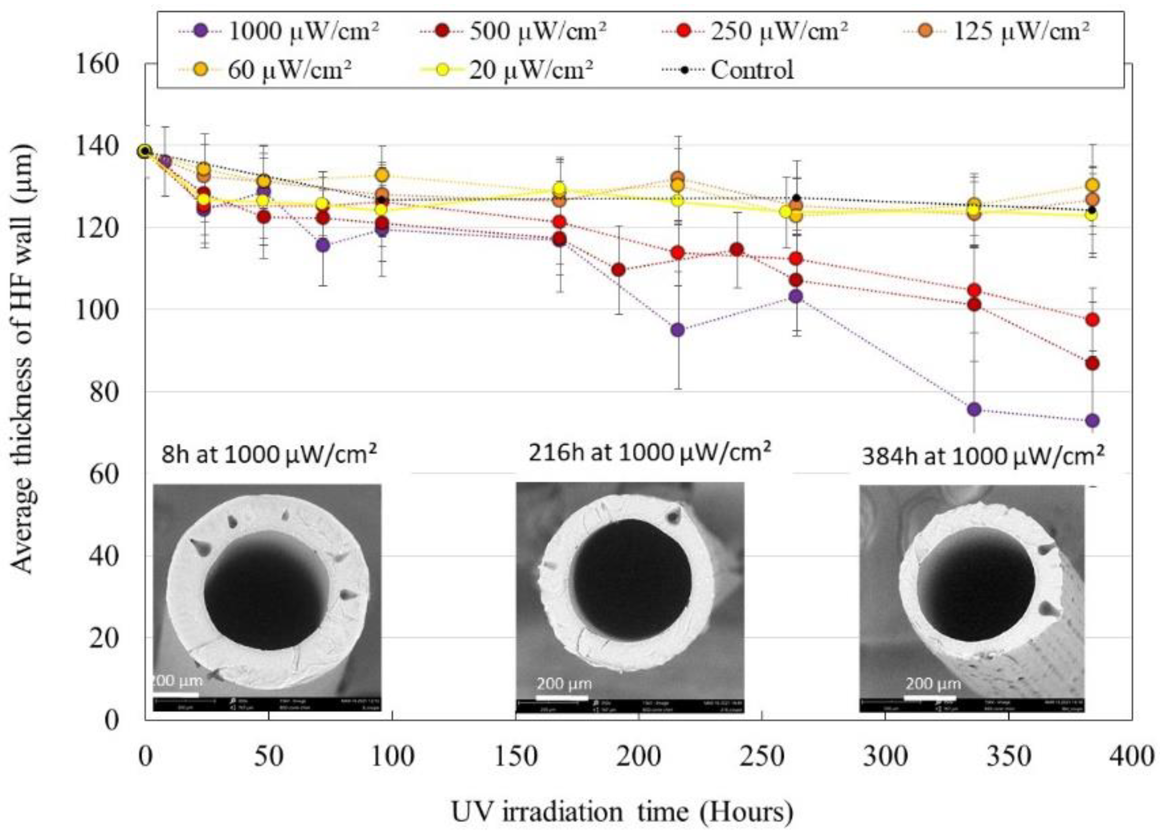 Membranes 12 00538 g001