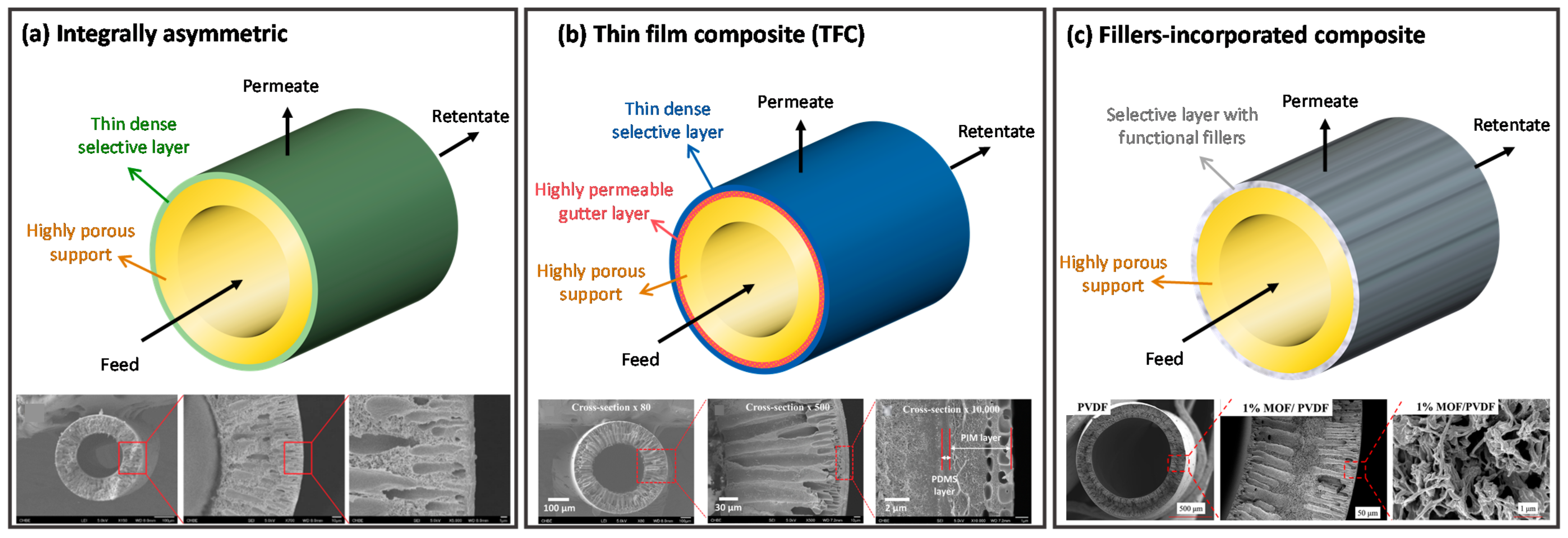 Membranes 12 00539 g004