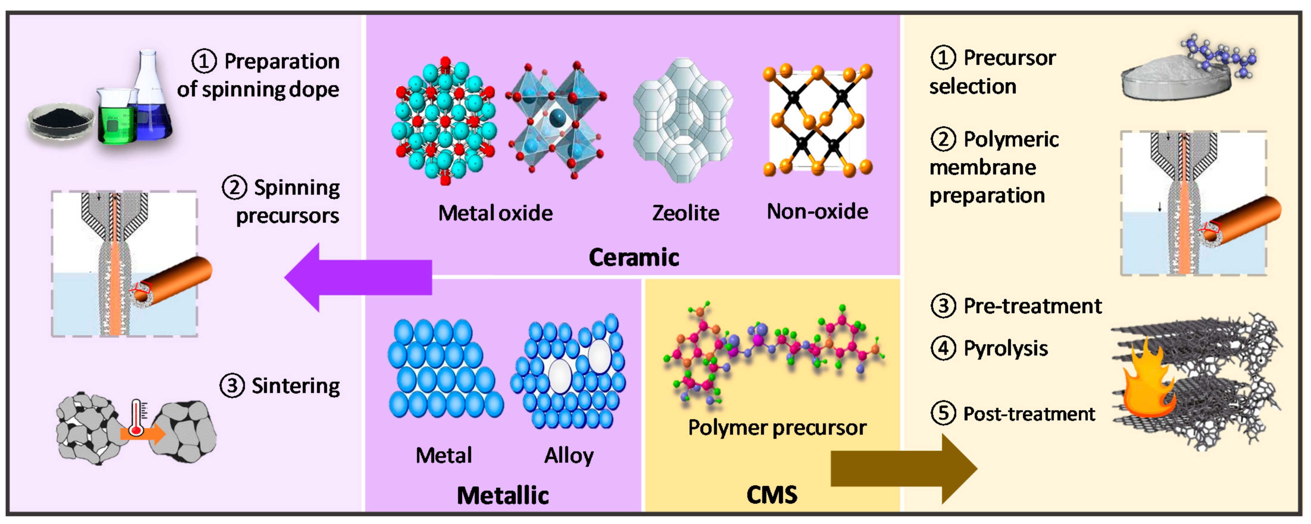 Membranes 12 00539 g007