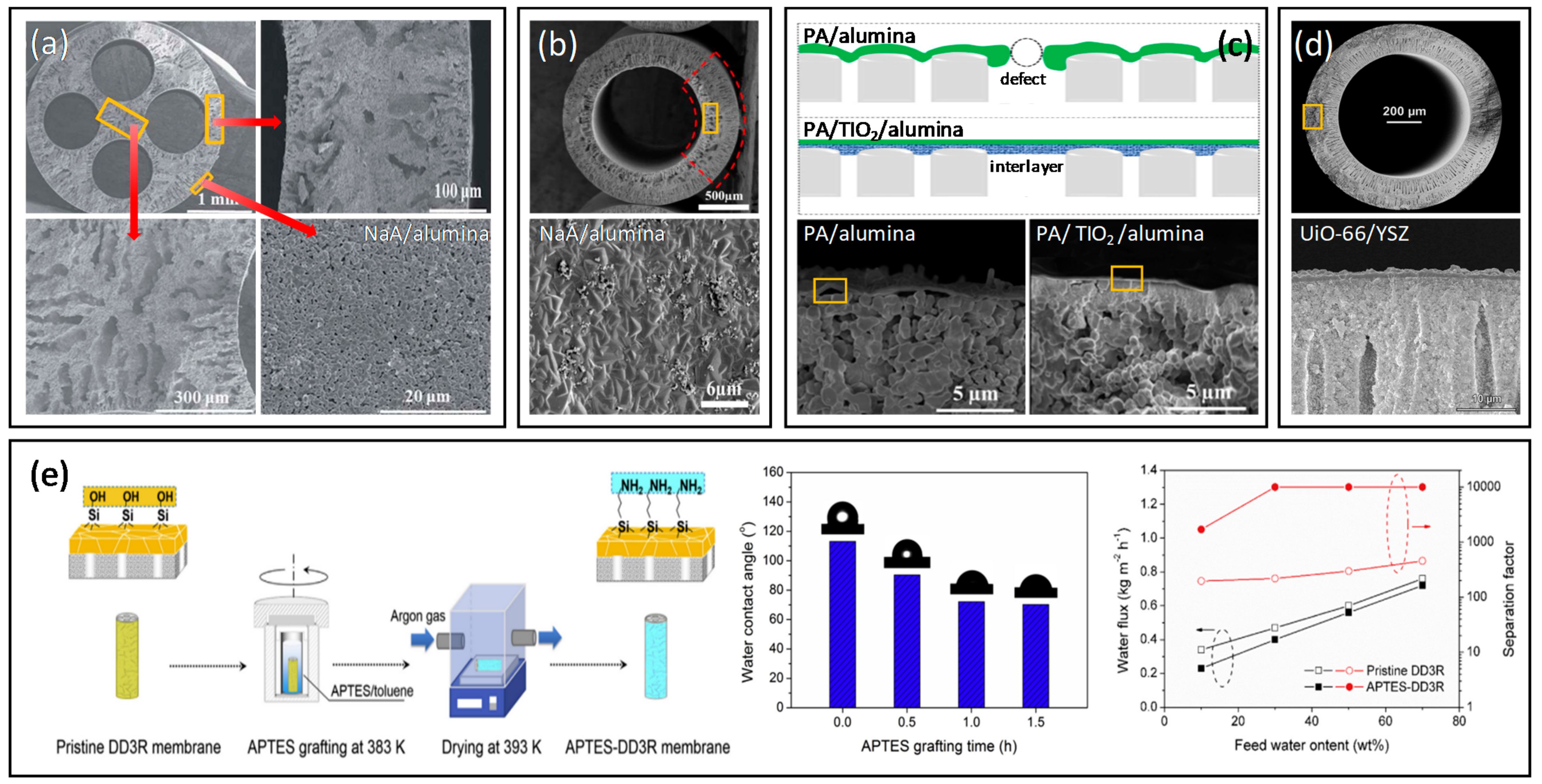 Membranes 12 00539 g013